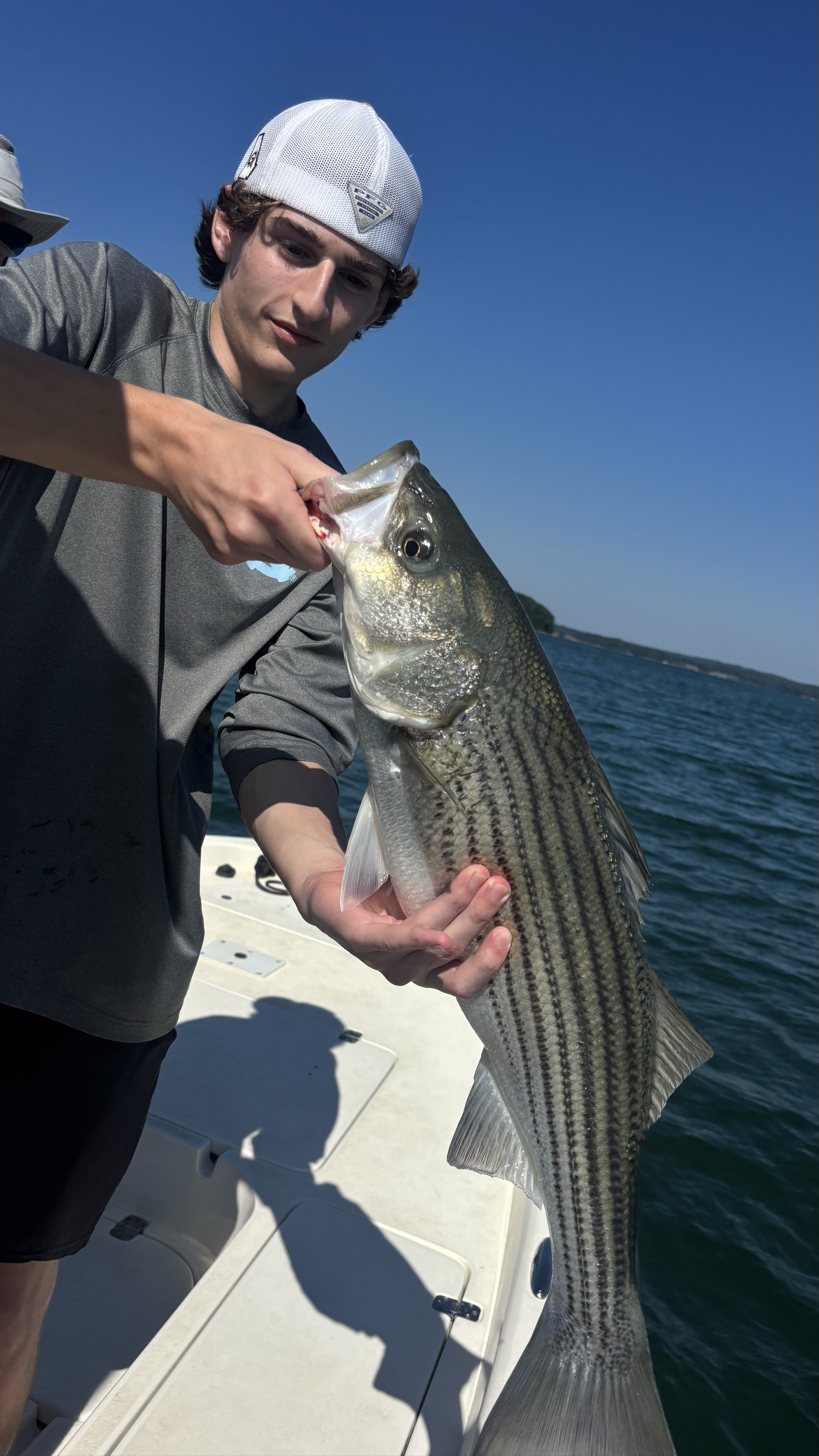 Summer Stripers Dominate Lake Lanier