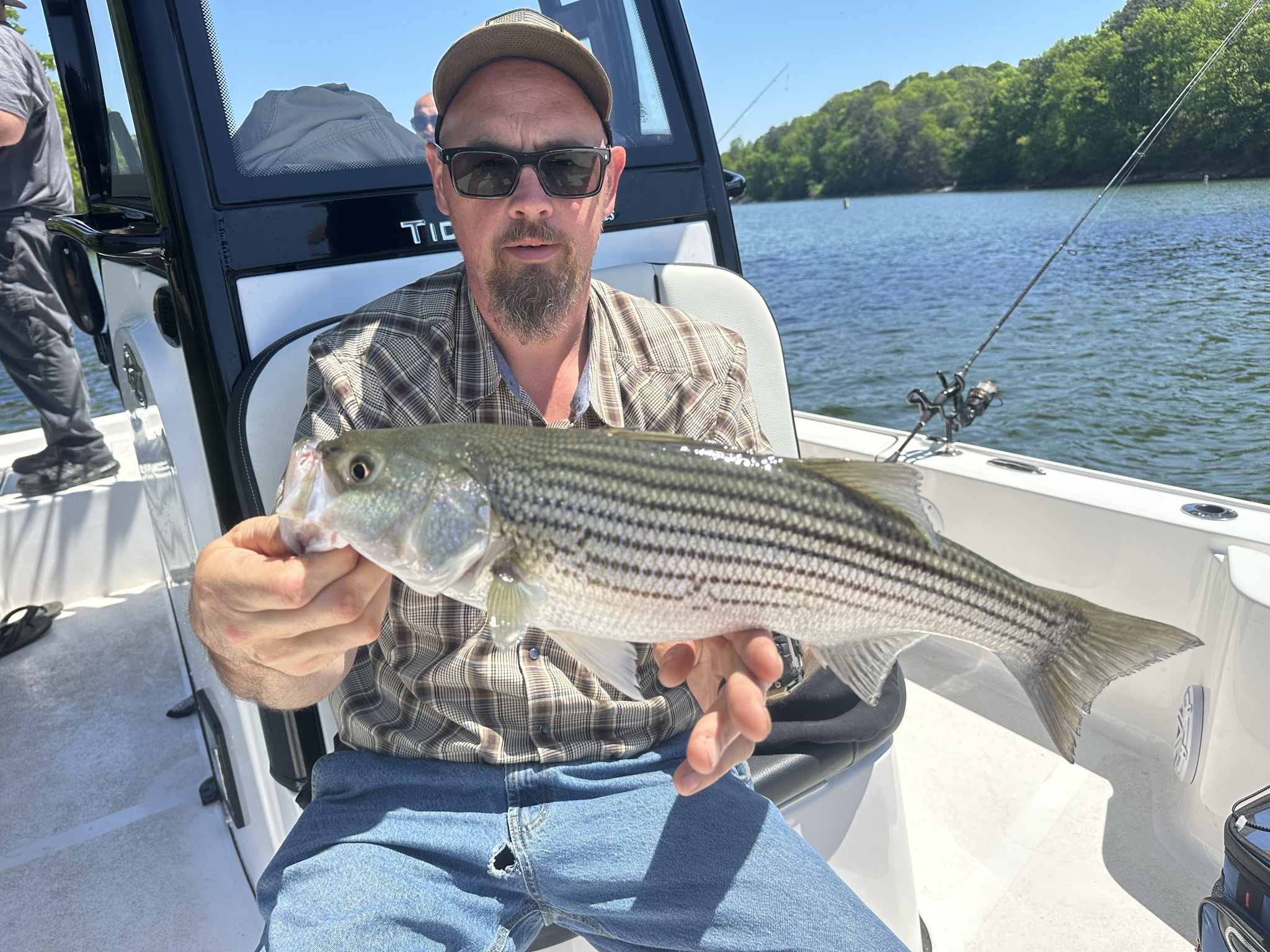 Striped Bass And Spotted Bass On Lake Lanier