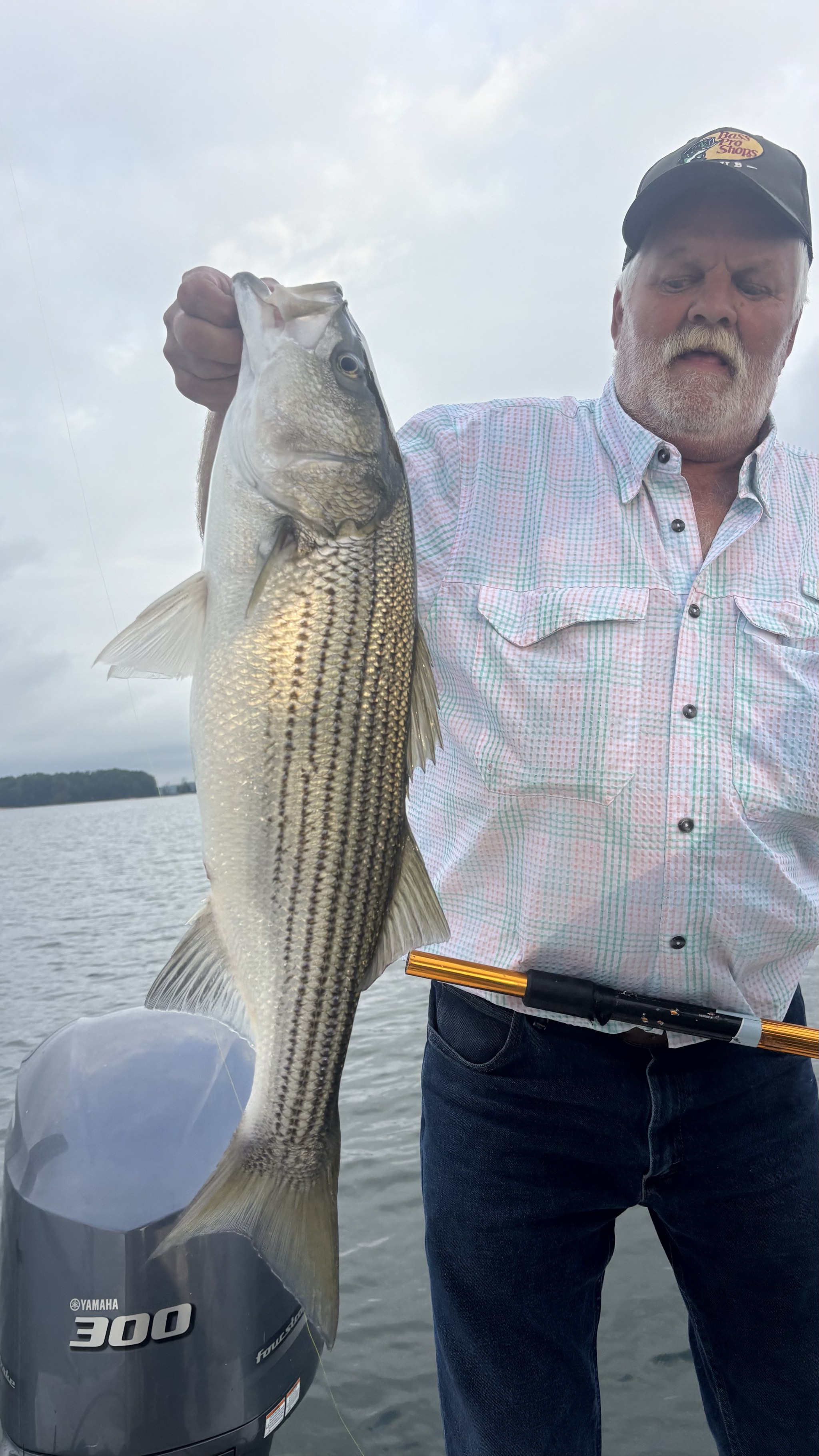 Trophy Stripers and Spotted Bass Lake Lanier