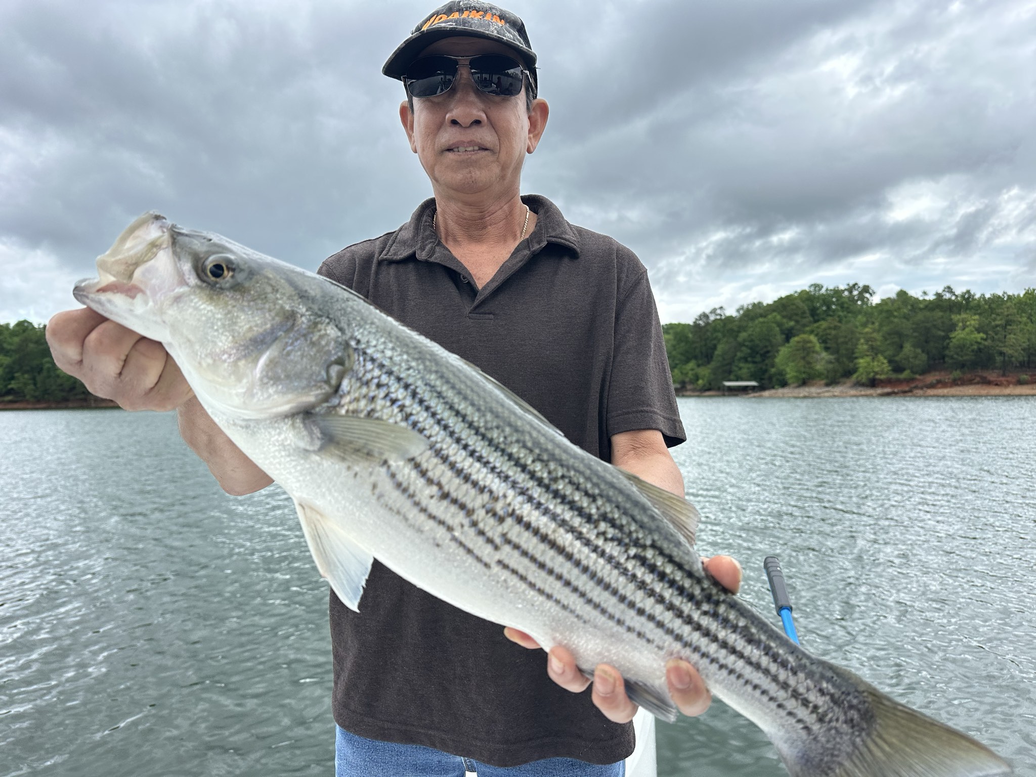 Lake Lanier May Striped Bass Success