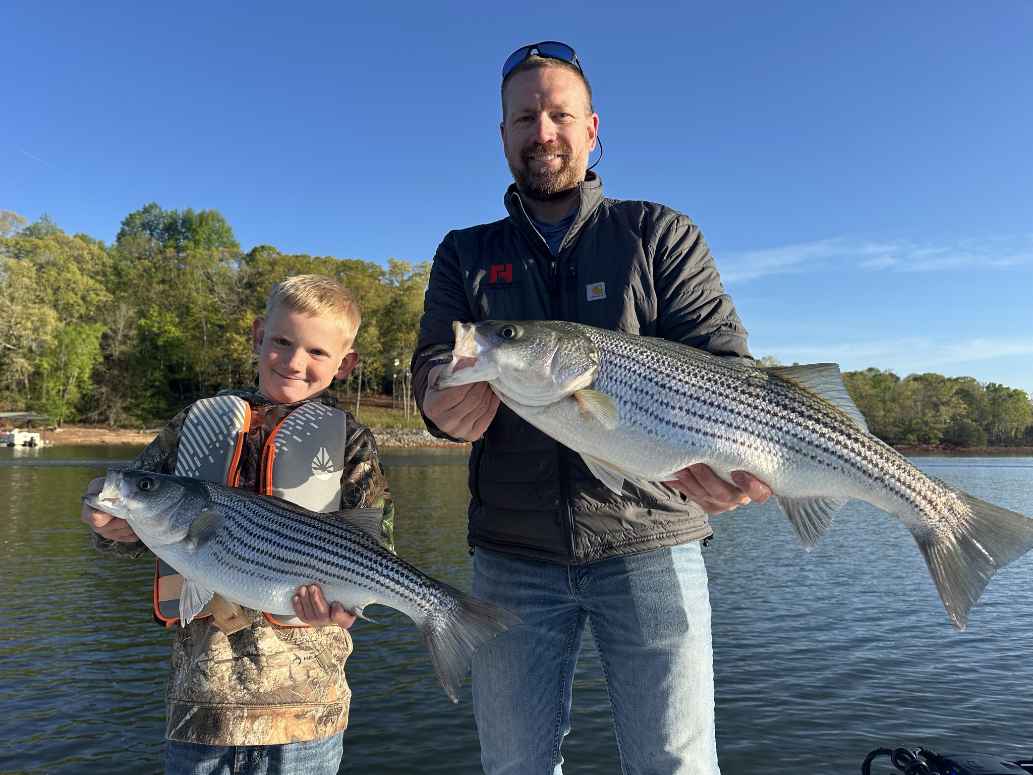 Striped Bass — April 2026