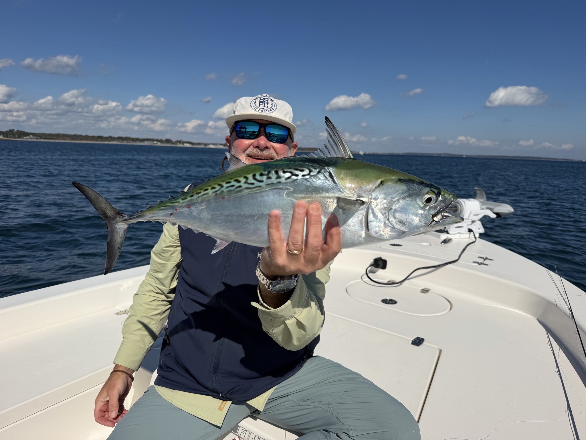 Atlantic bonito caught out of Boston, Oct 8, 2026