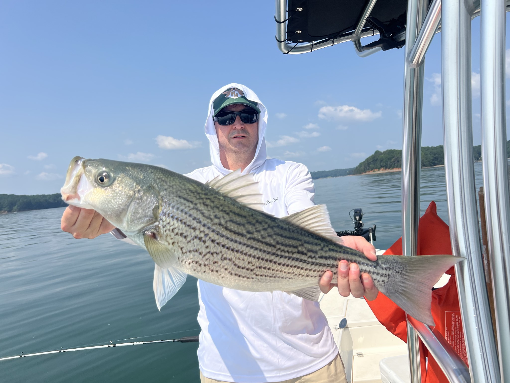 Striped Bass And Spotted Bass Lake Lanier