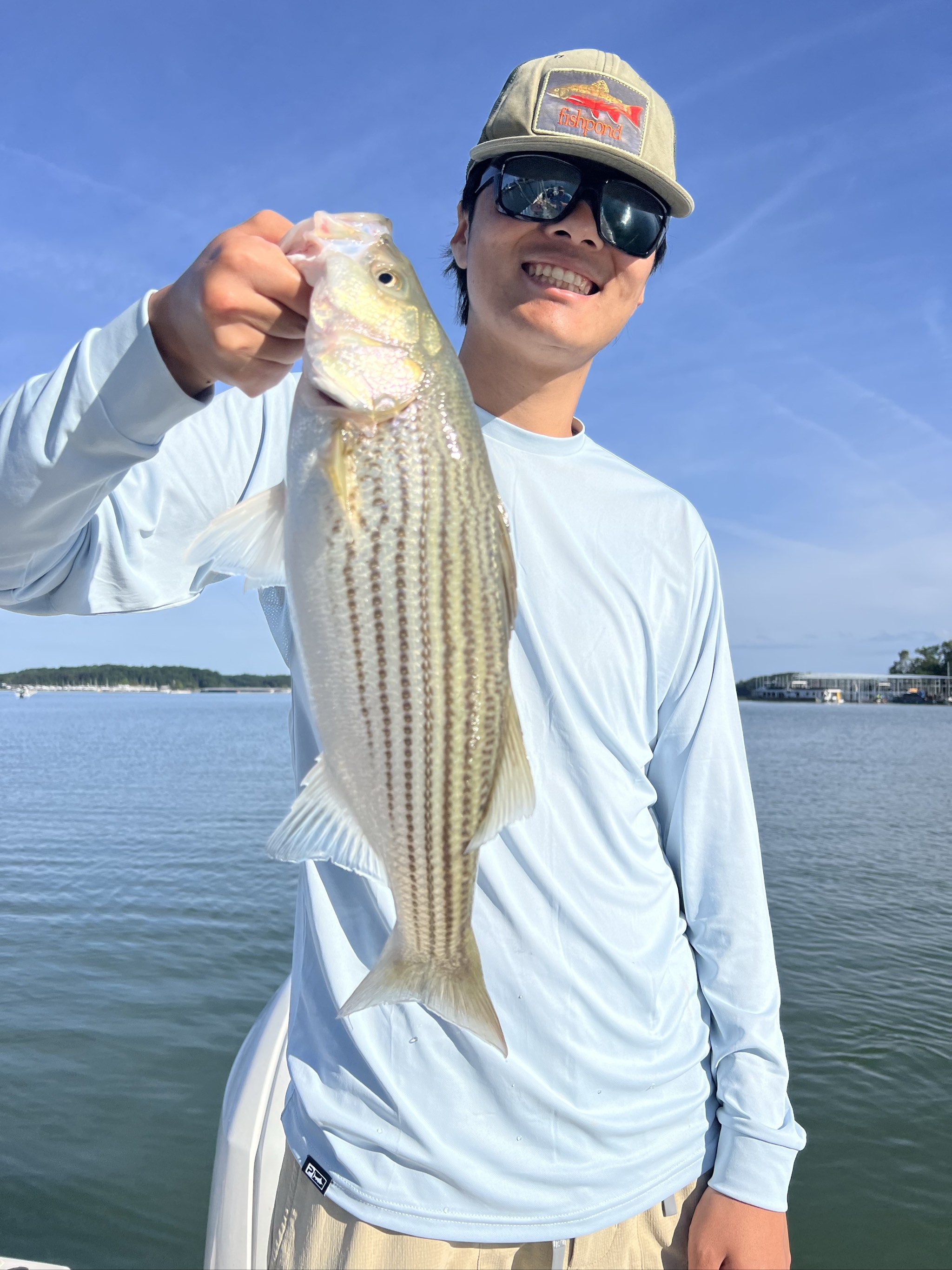 June Spotted and Striped Bass on Lake Lanier