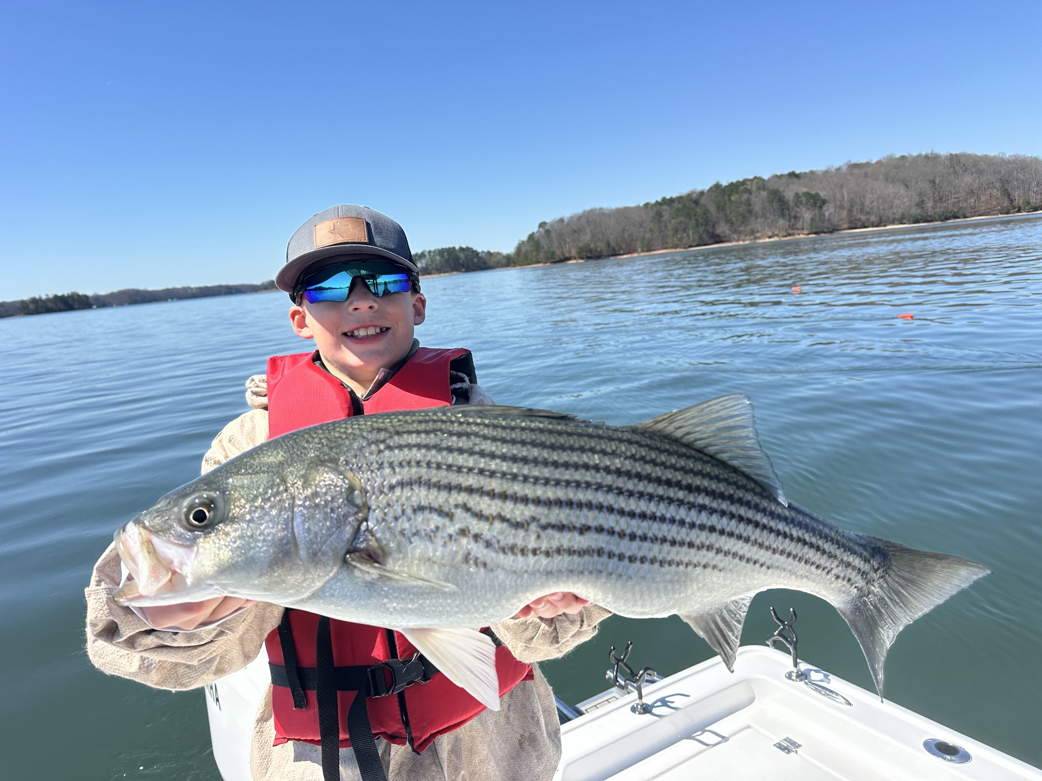 Striped Bass — March 2026
