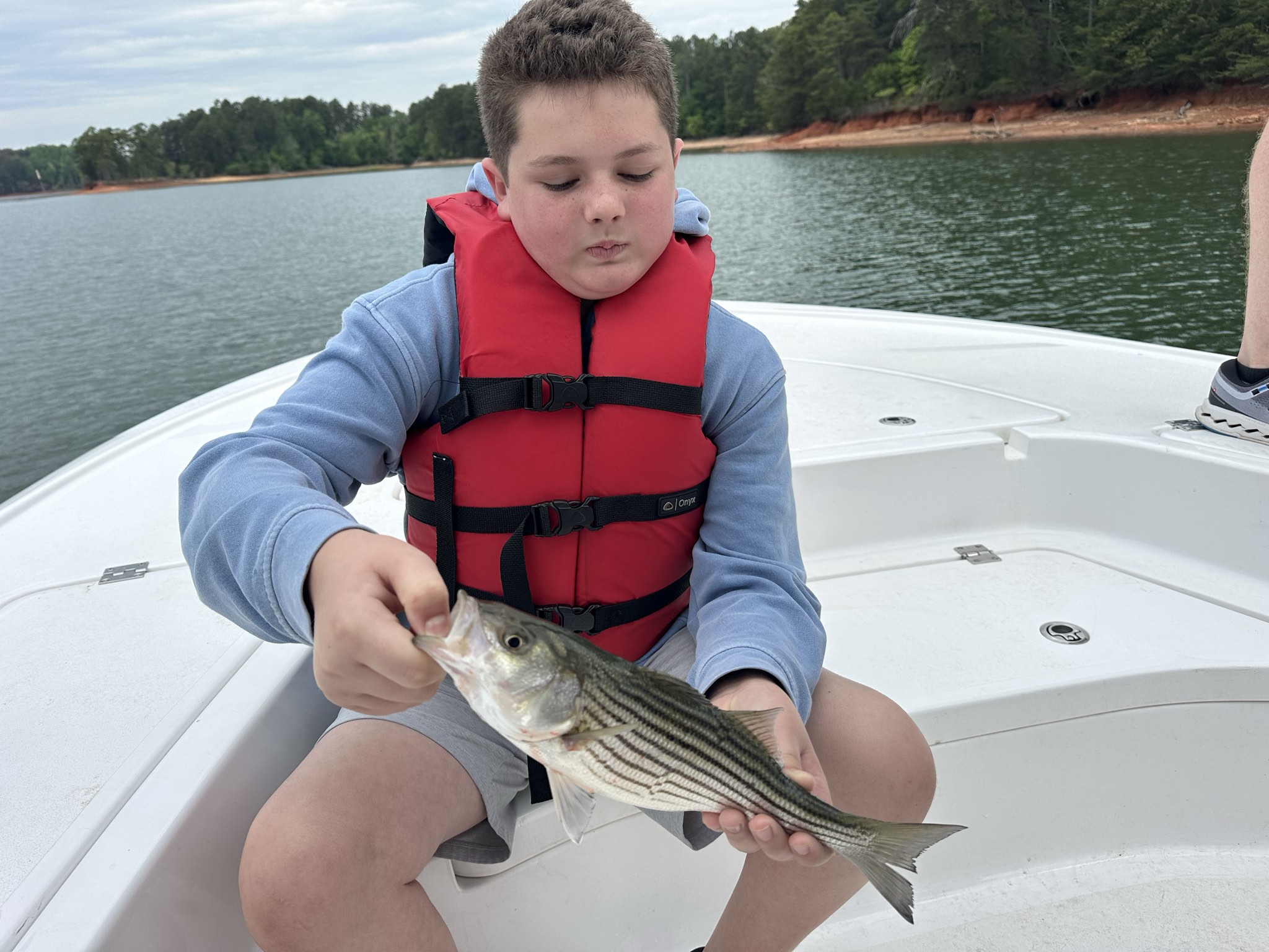 Striped Bass — May 2026