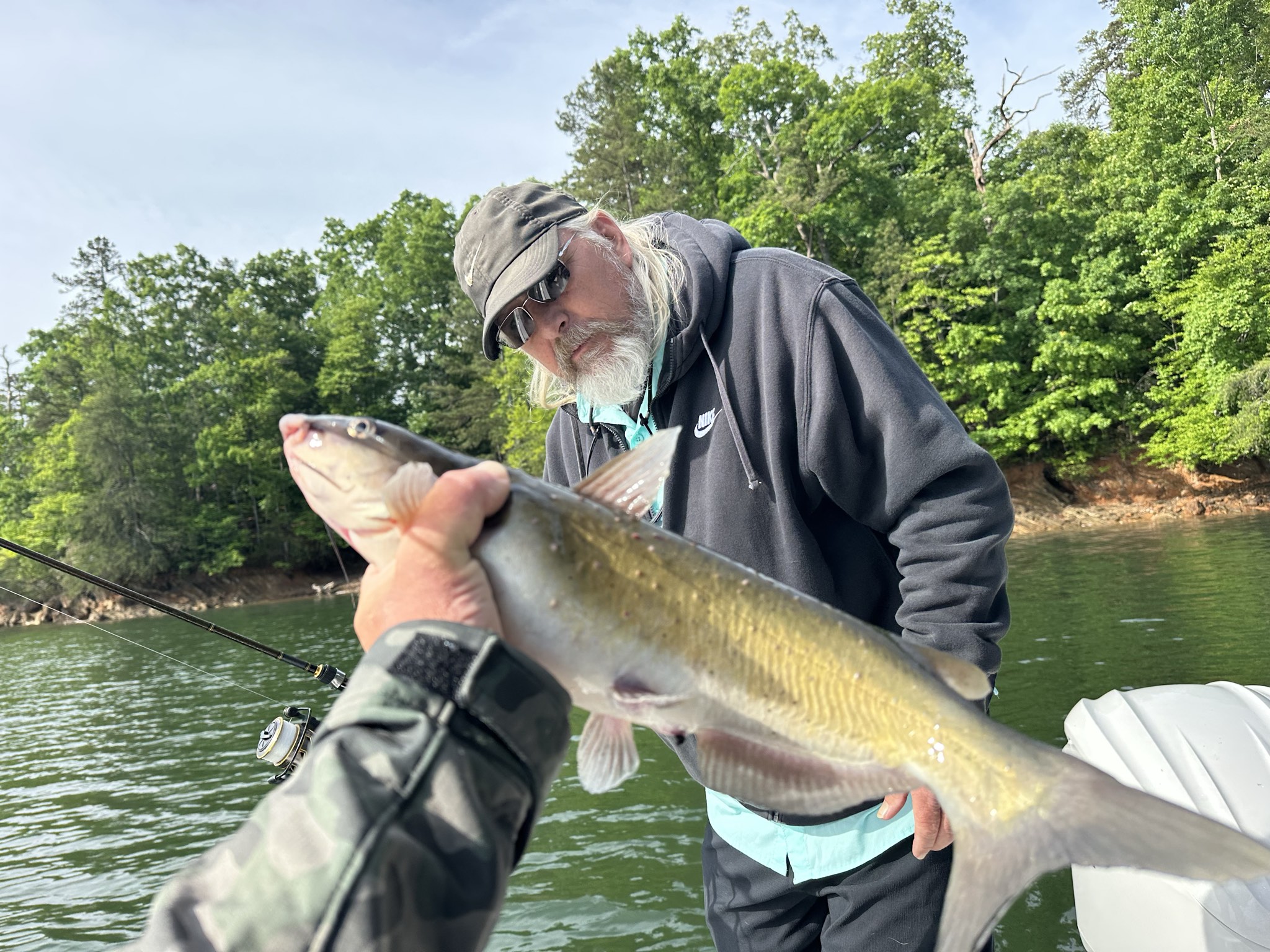 Striped Bass — May 2026