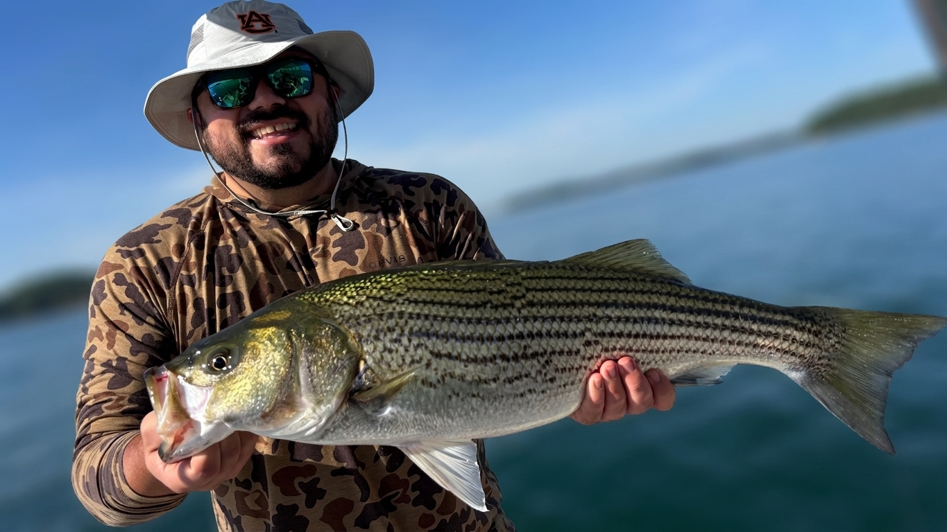 Lake Lanier bass — August 2026