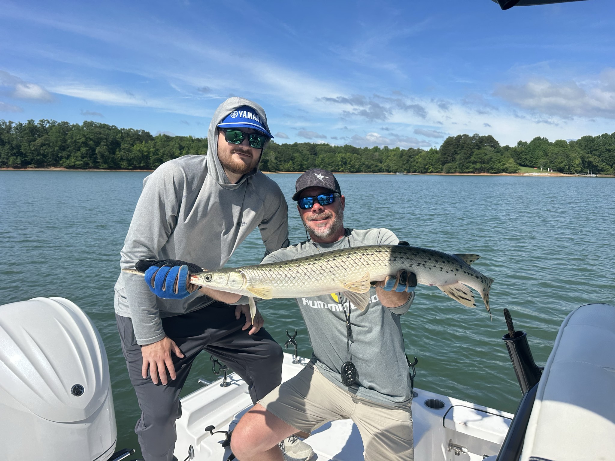 Striped Bass And Spotted Bass Dominate Lake Lanier