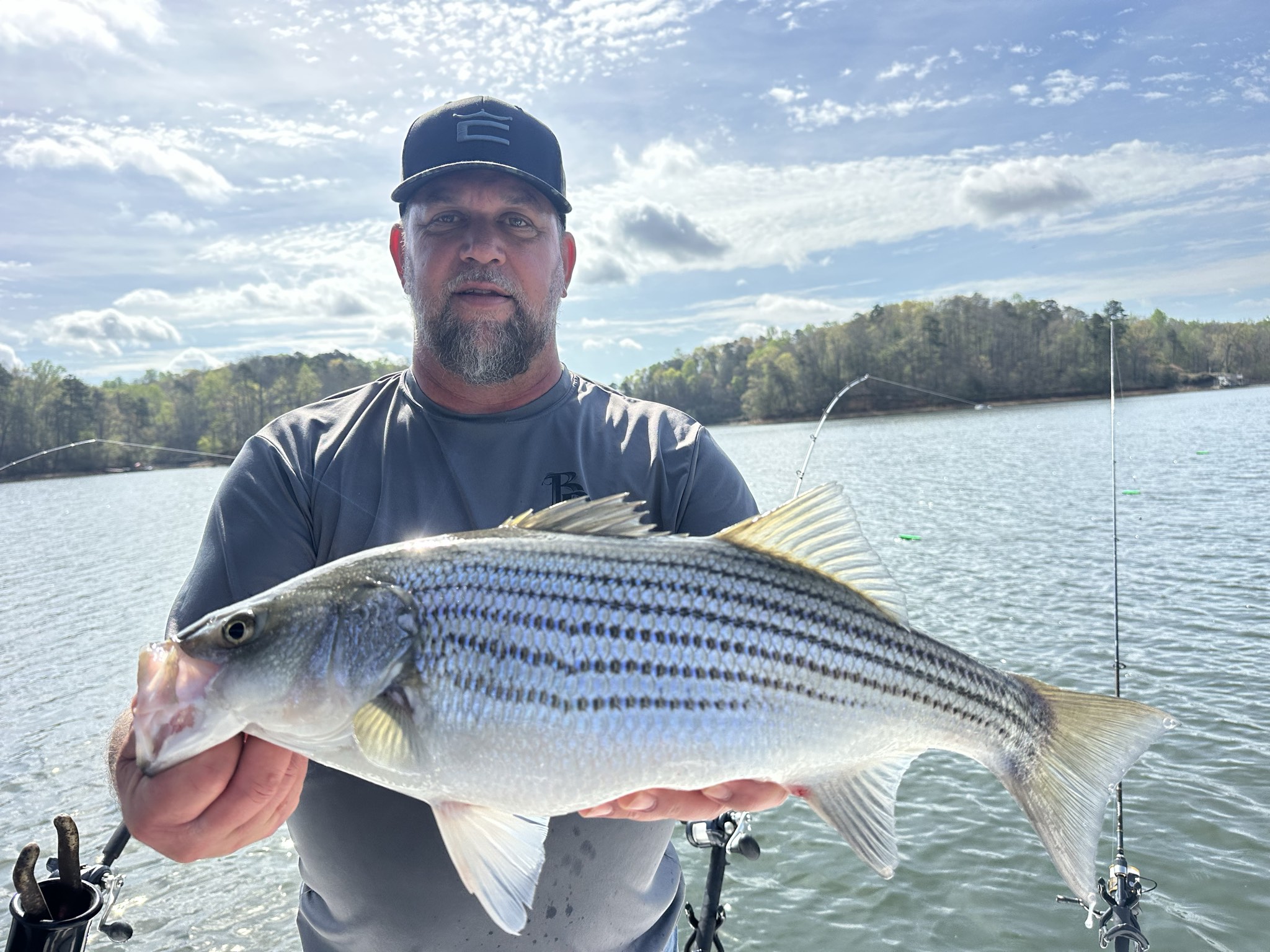 Striped Bass — April 2026
