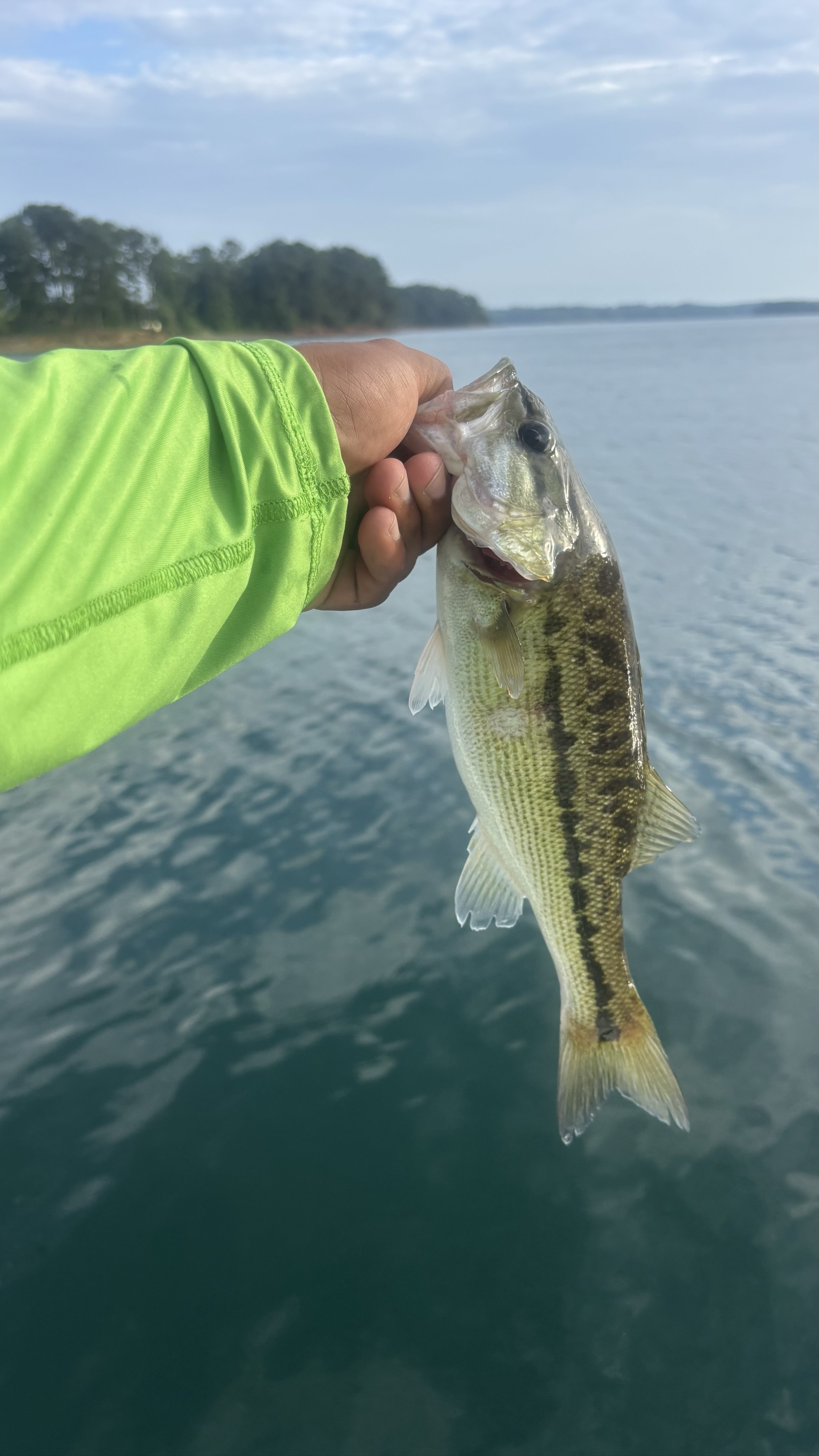 Lake Lanier Trophy Bass & Stripers June