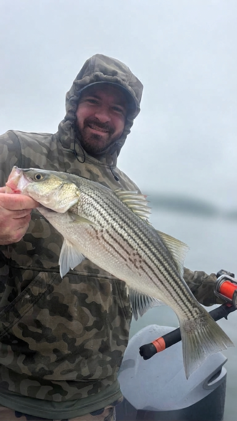 Lake Lanier Channel catfish — October 2026
