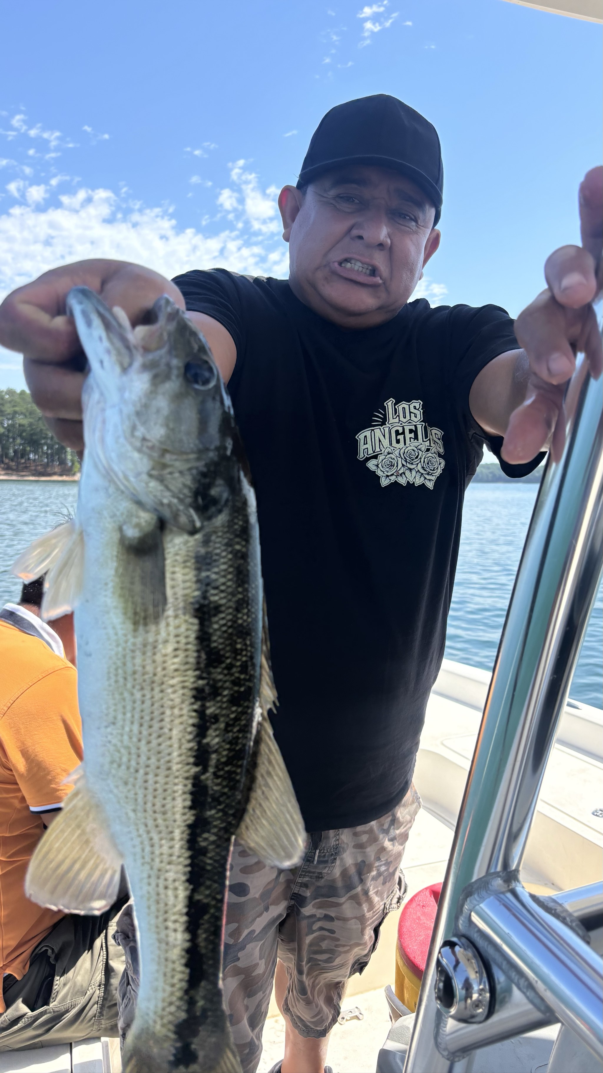 Striped And Spotted Bass Lake Lanier June