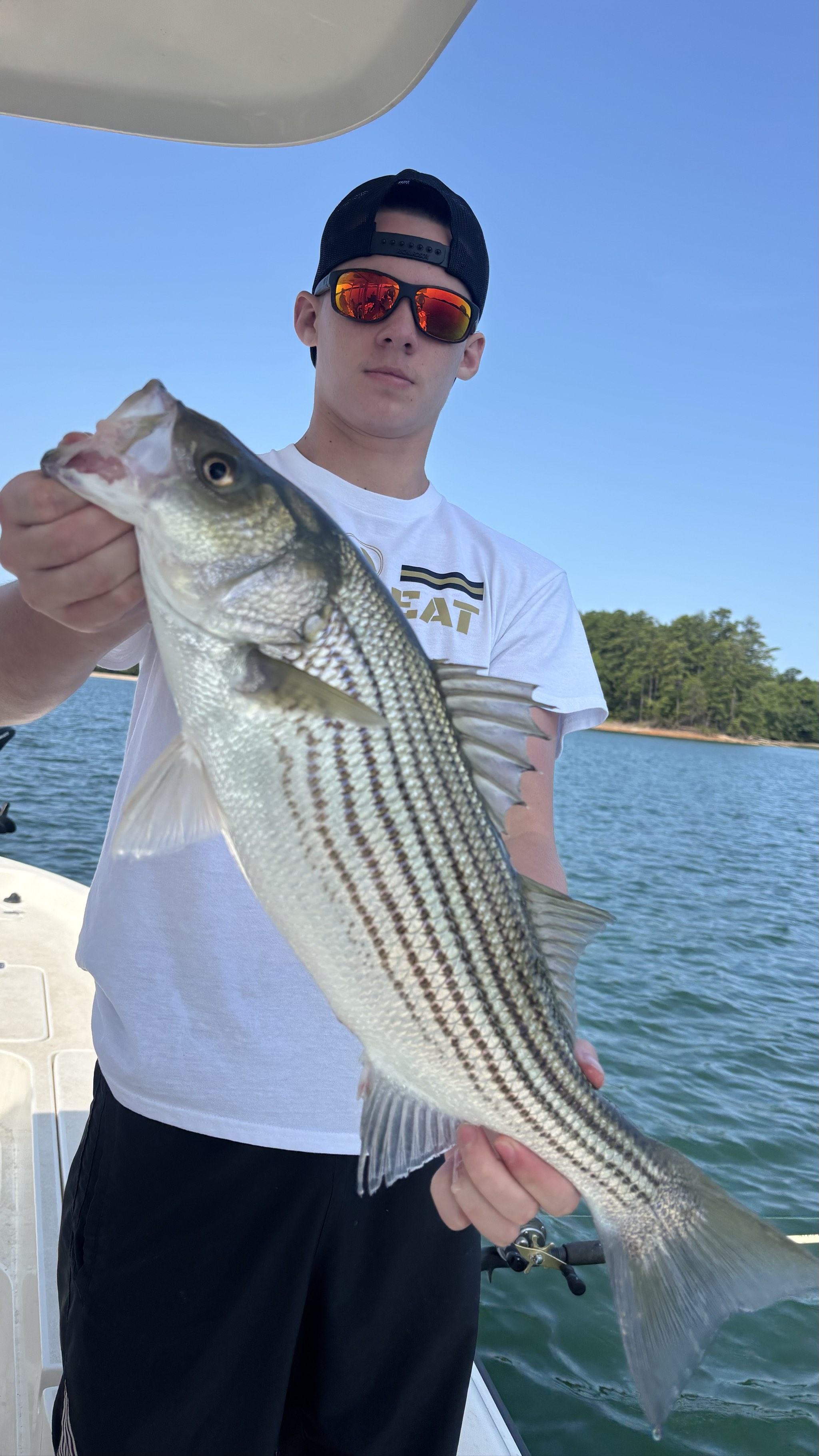 August Striped Bass Bonanza at Lake Lanier
