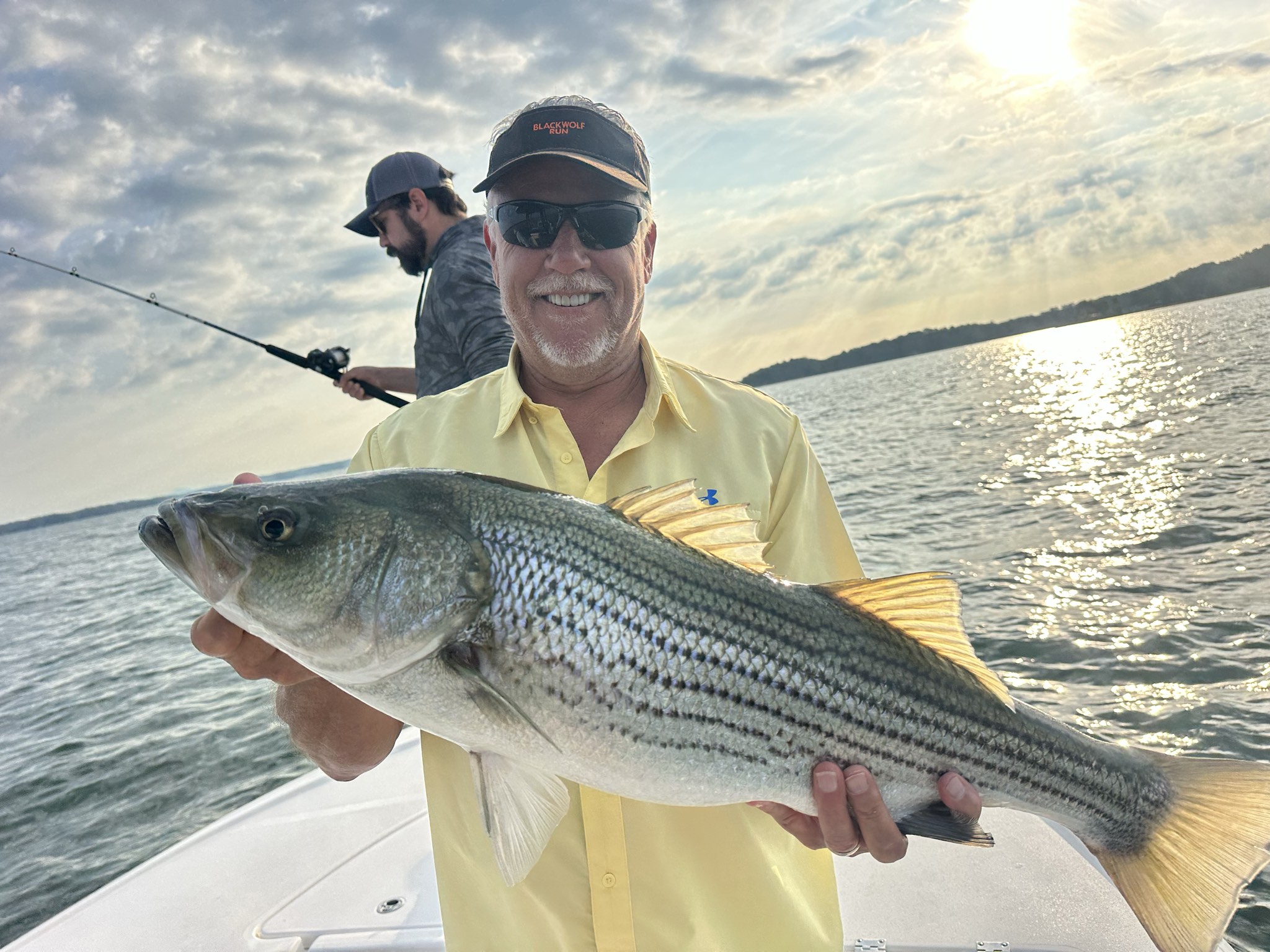 Striped And Spotted Bass Lake Lanier