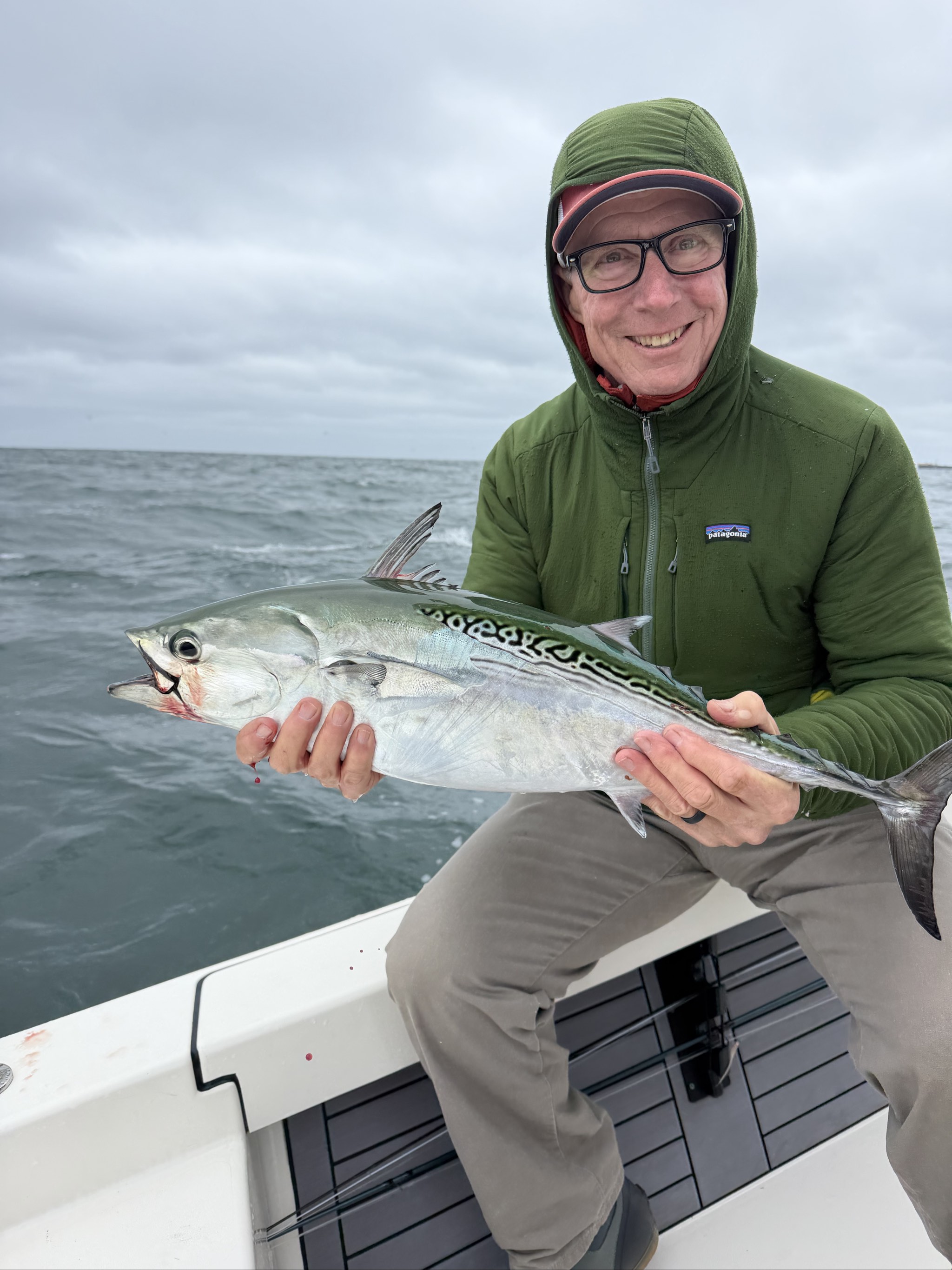 Atlantic bonito caught out of Boston, Oct 13, 2026