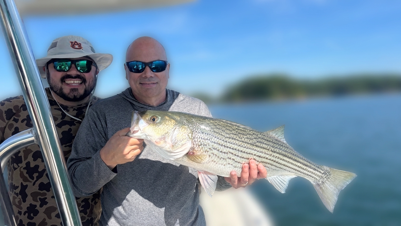 Lake Lanier bass — August 2026
