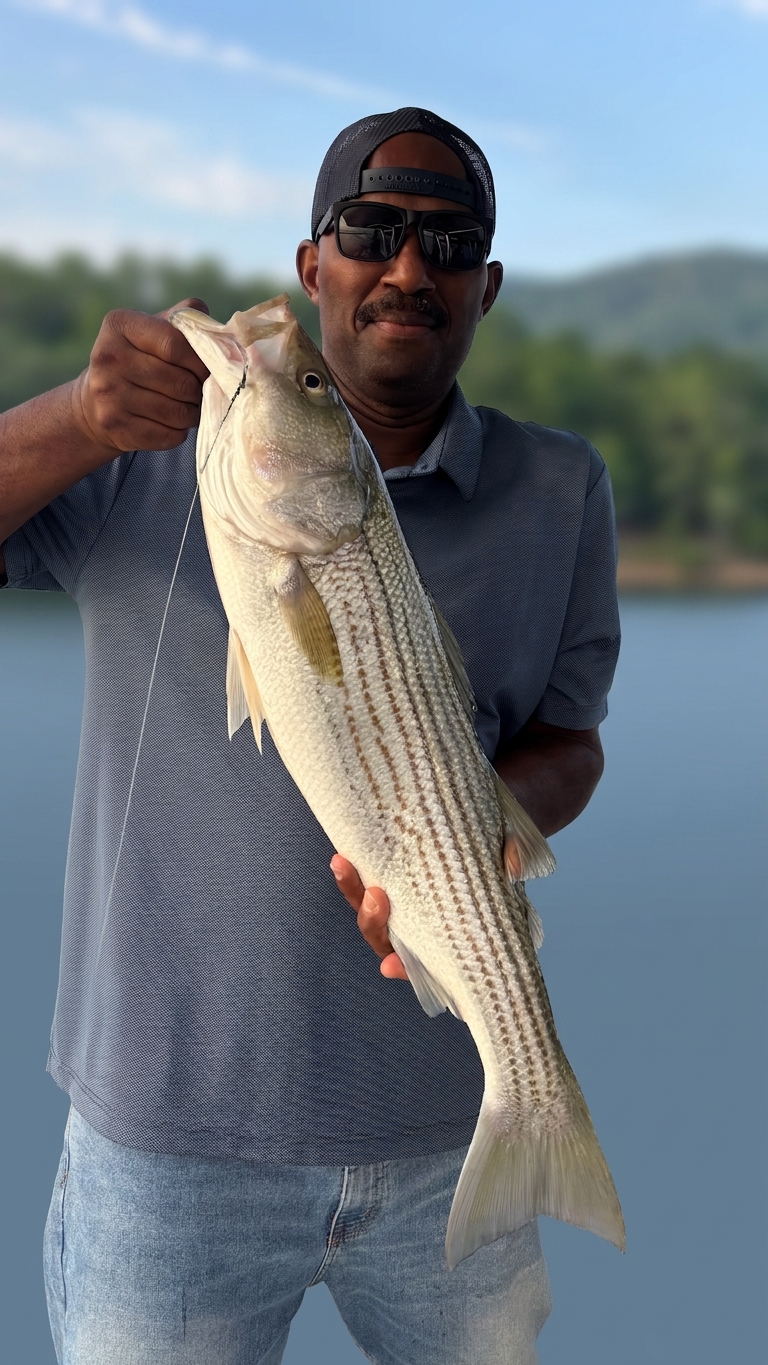 Striped Bass & Spotted Bass at Lake Lanier