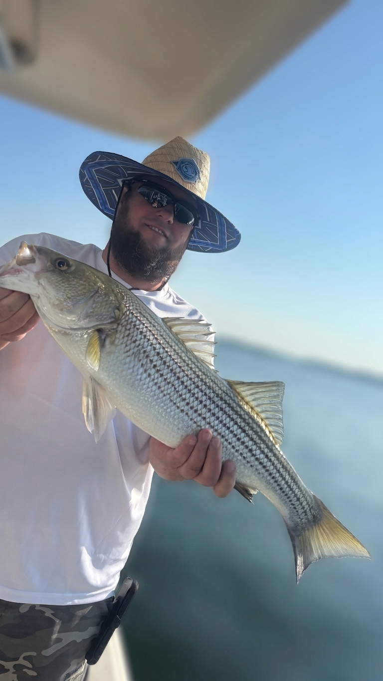 Lake Lanier bass — September 2026