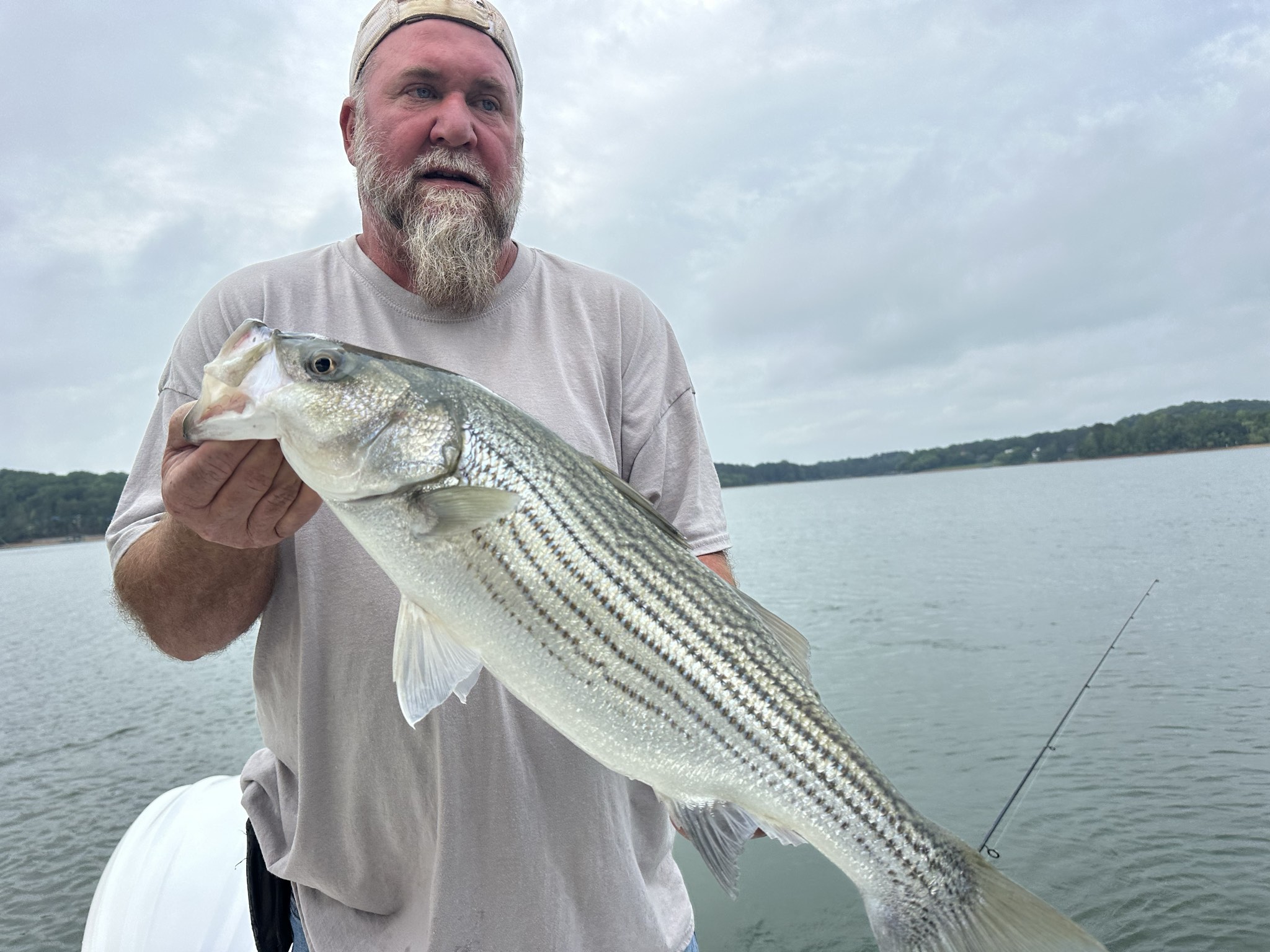 May Stripers, Spots, And Catfish On Lake Lanier