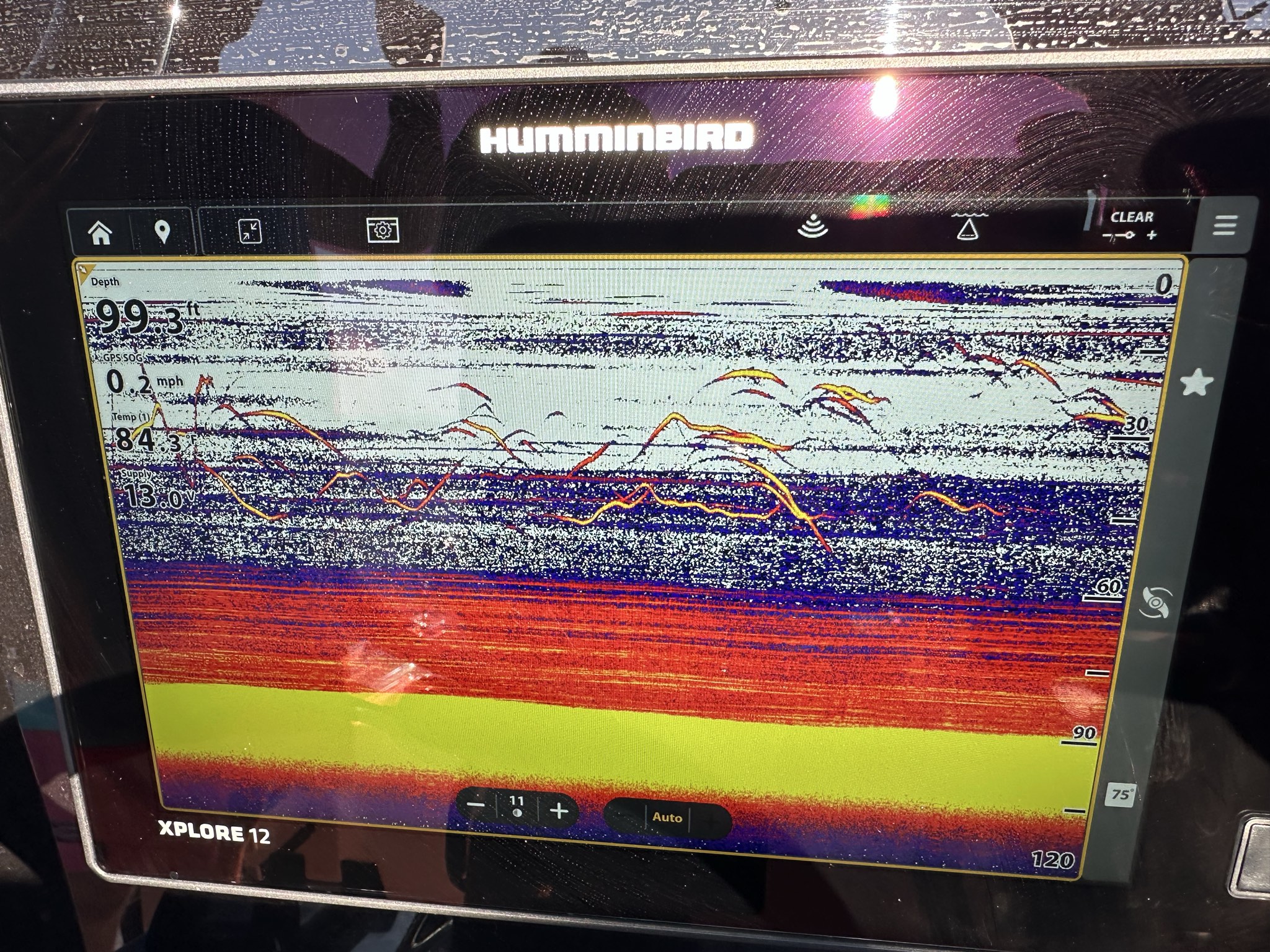 Striped Bass — June 2026