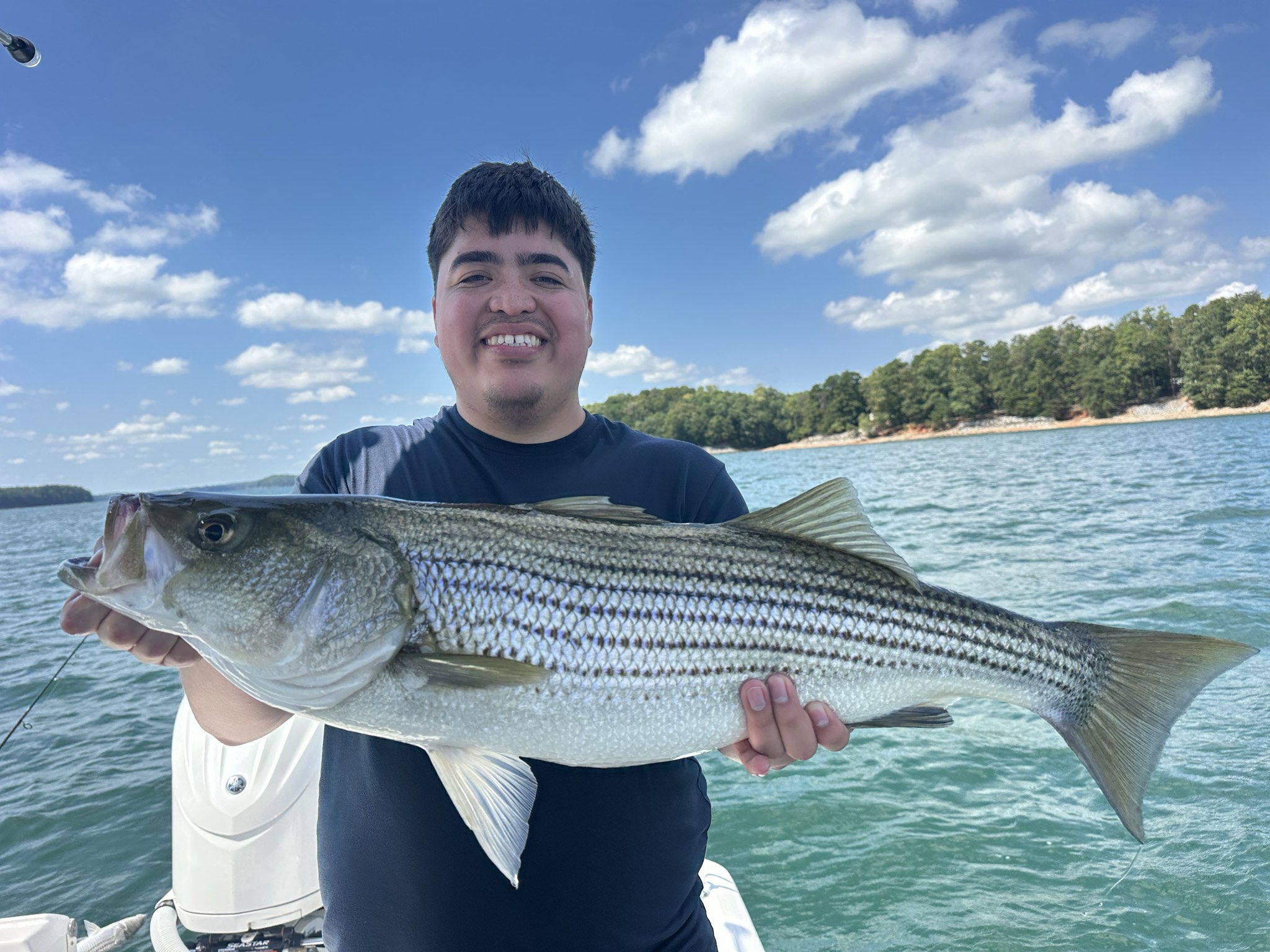September Striped Bass Action On Lake Lanier