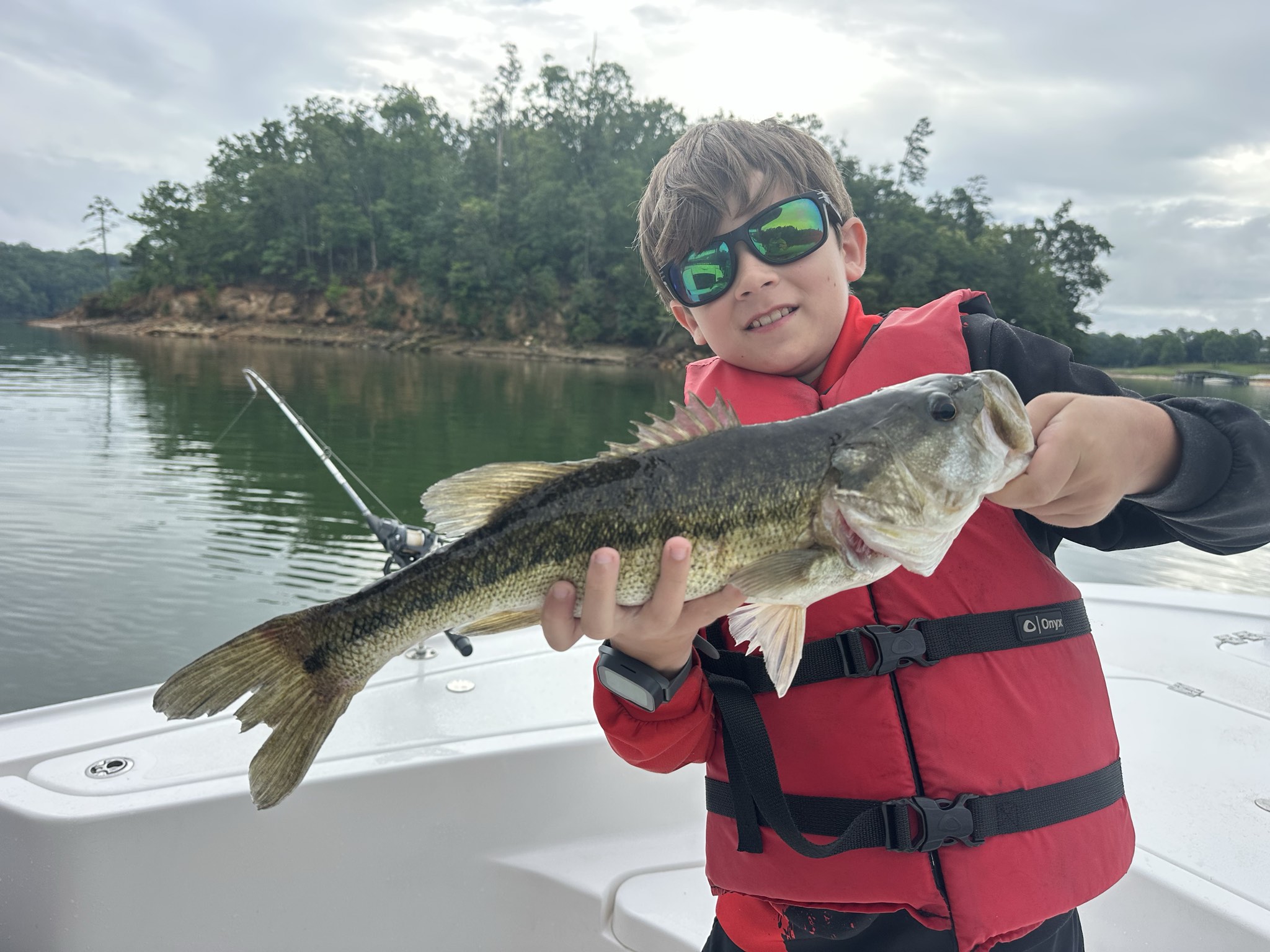 Striped Bass — June 2026