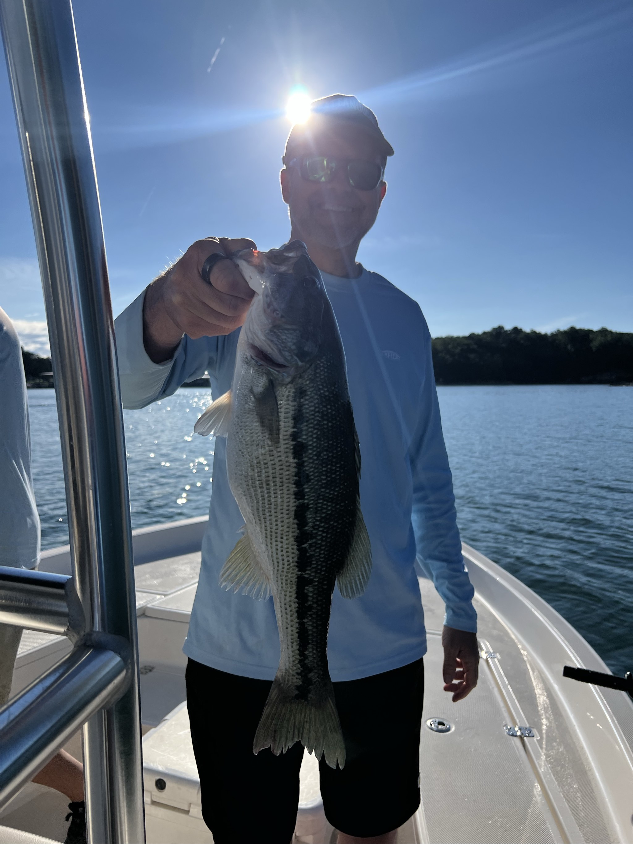 June Spotted and Striped Bass on Lake Lanier