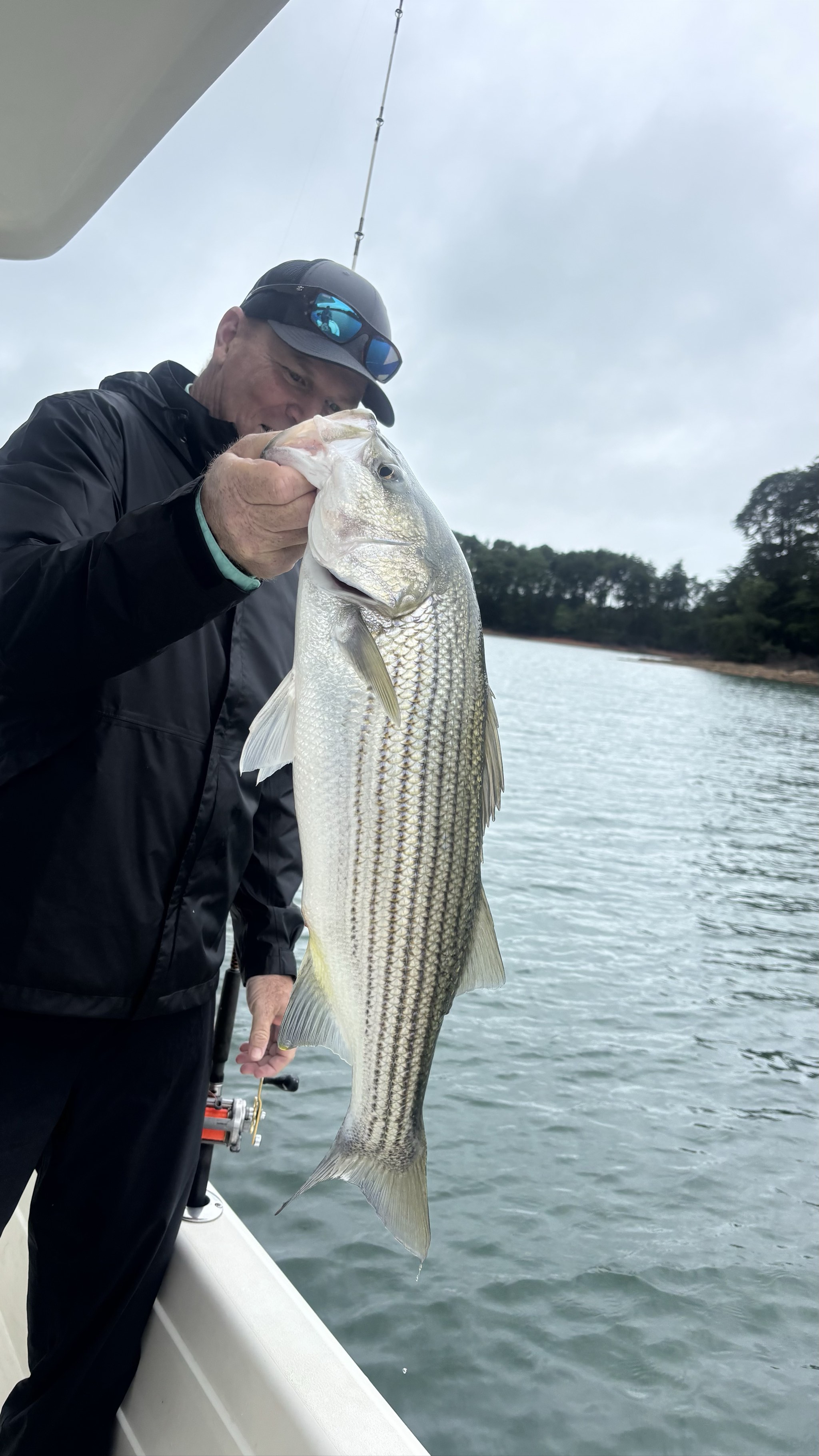 Trophy Stripers And Spots On Lake Lanier