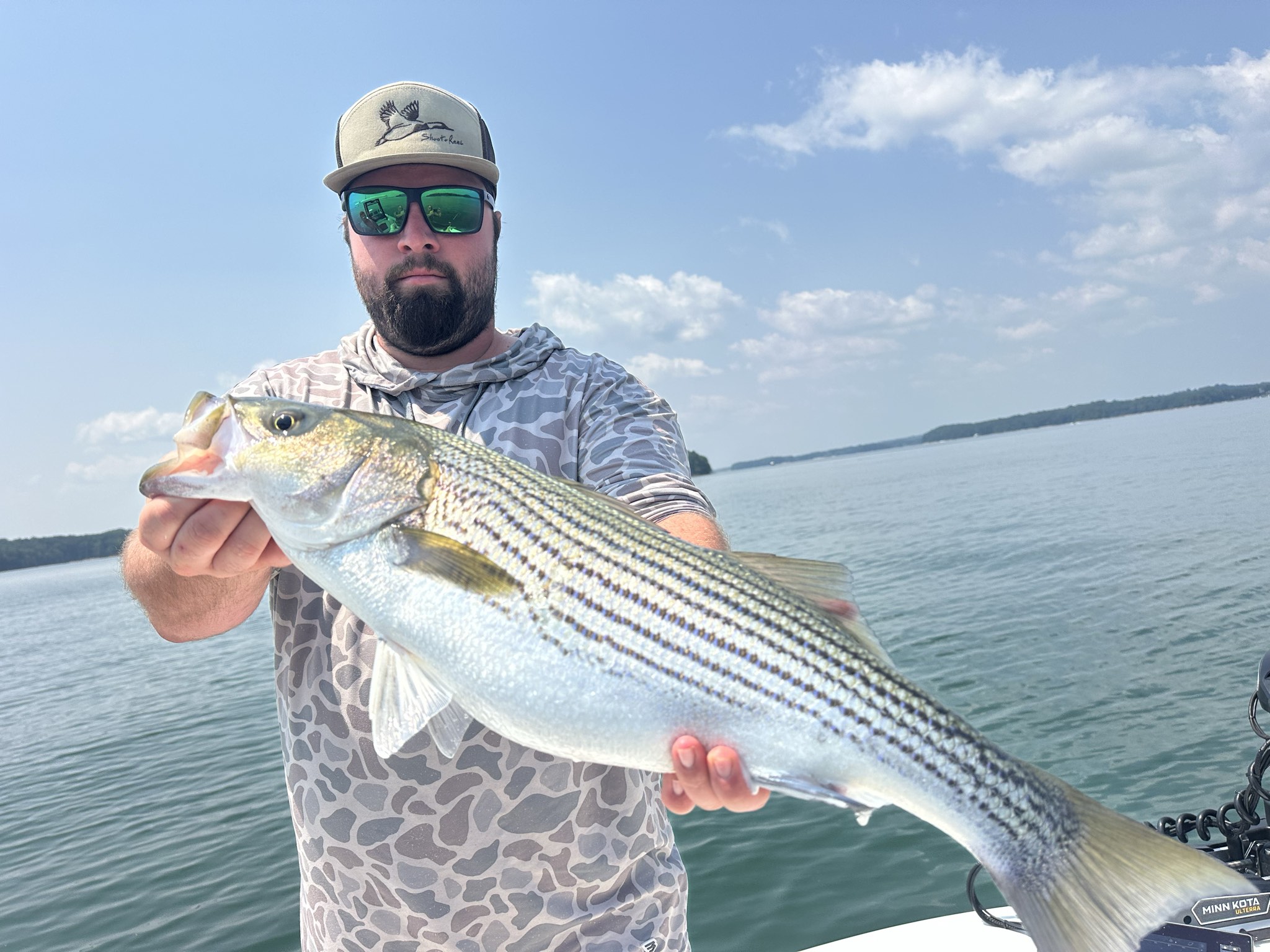 Striped And Spotted Bass Lake Lanier July