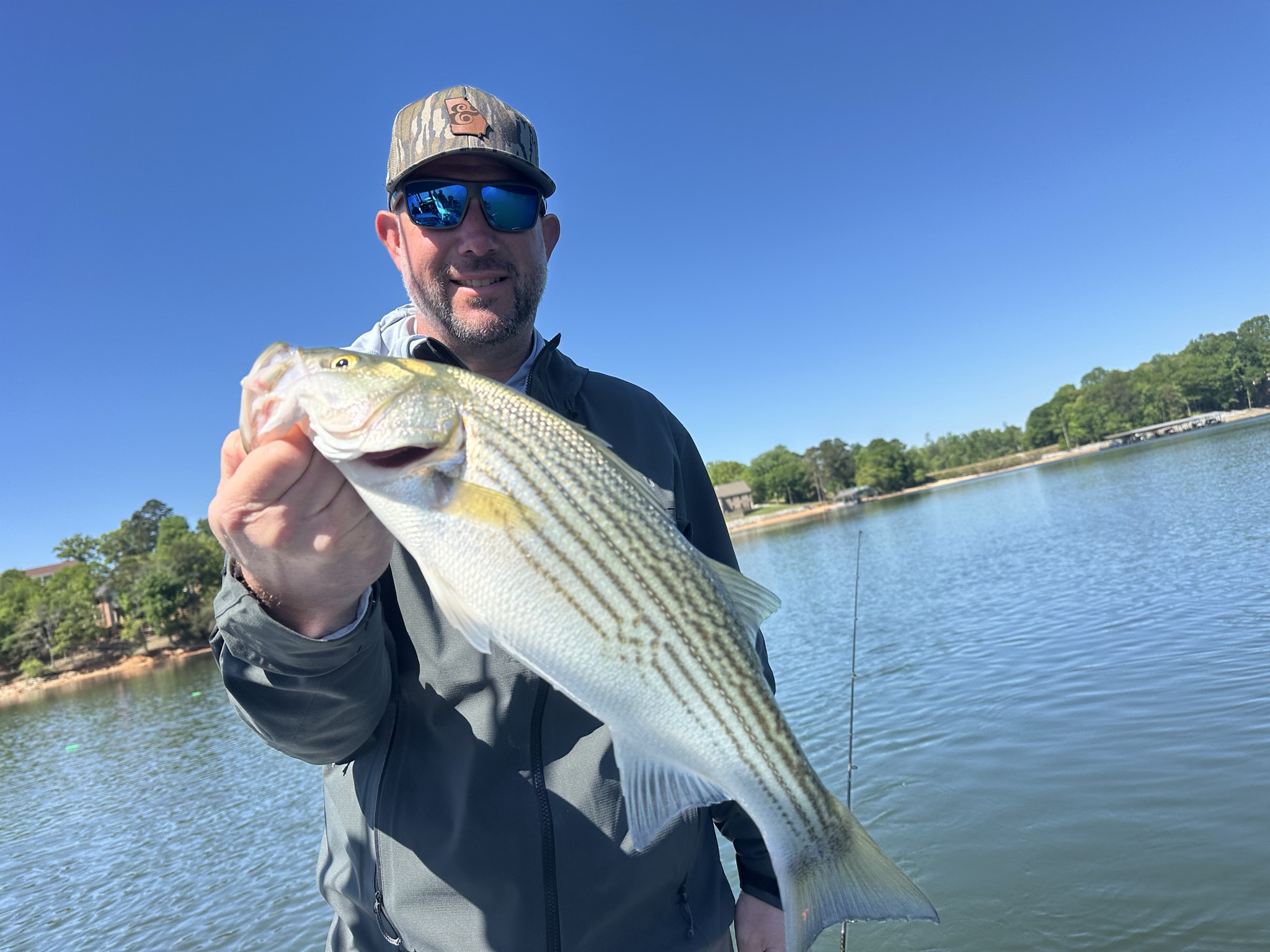 Striped Bass — April 2026