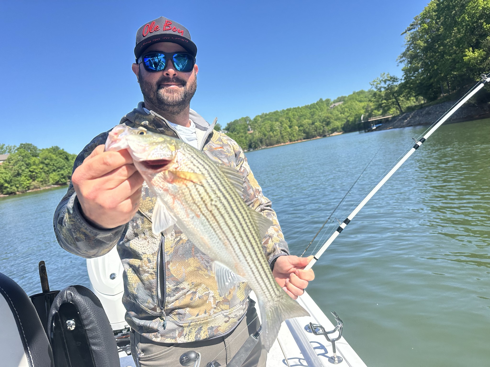 Striped Bass — April 2026