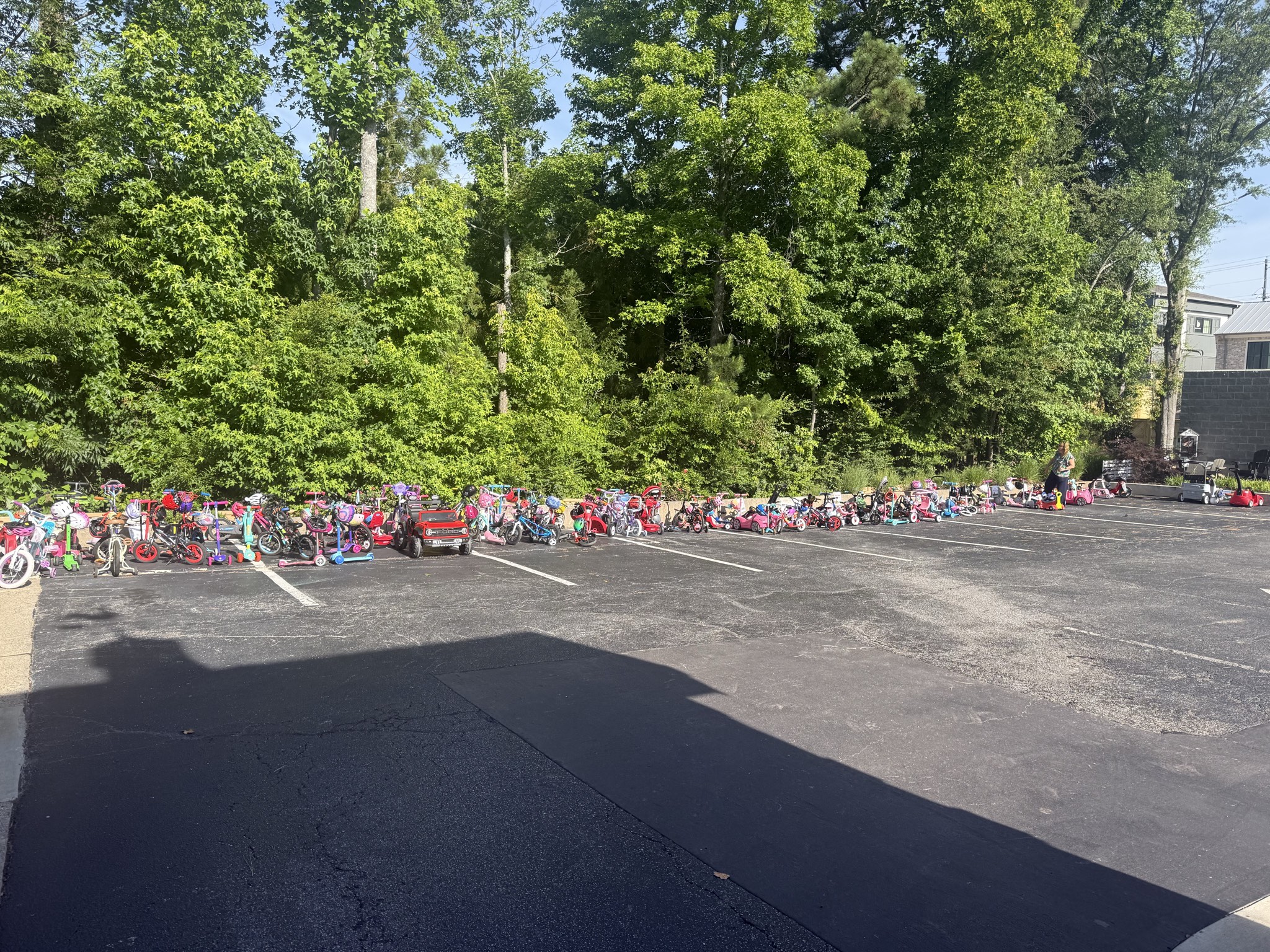 Jackson Lake, GA Largemouth Bass — June 2026