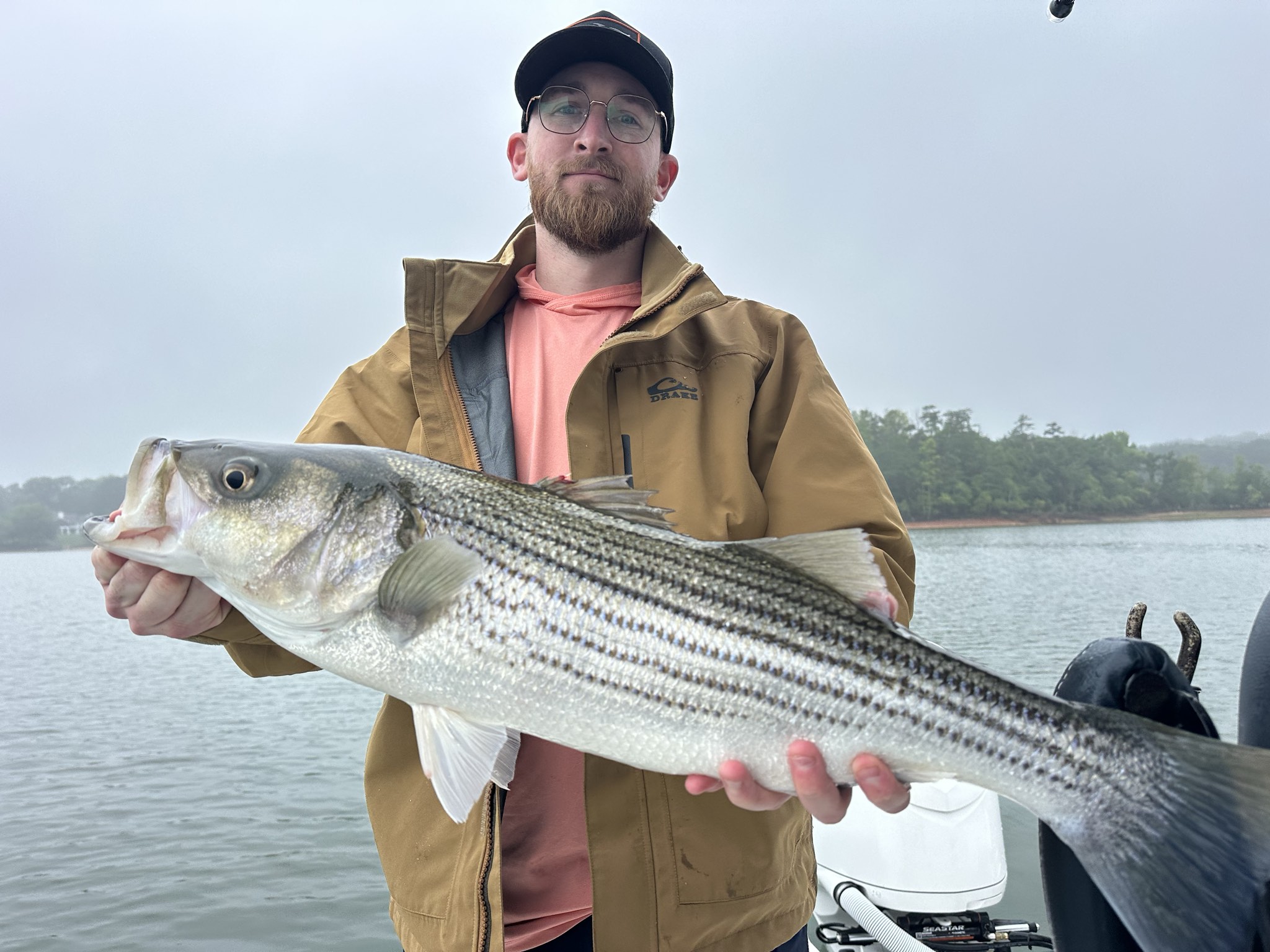 Striped Bass And Spotted Bass Action On Lake Lanier