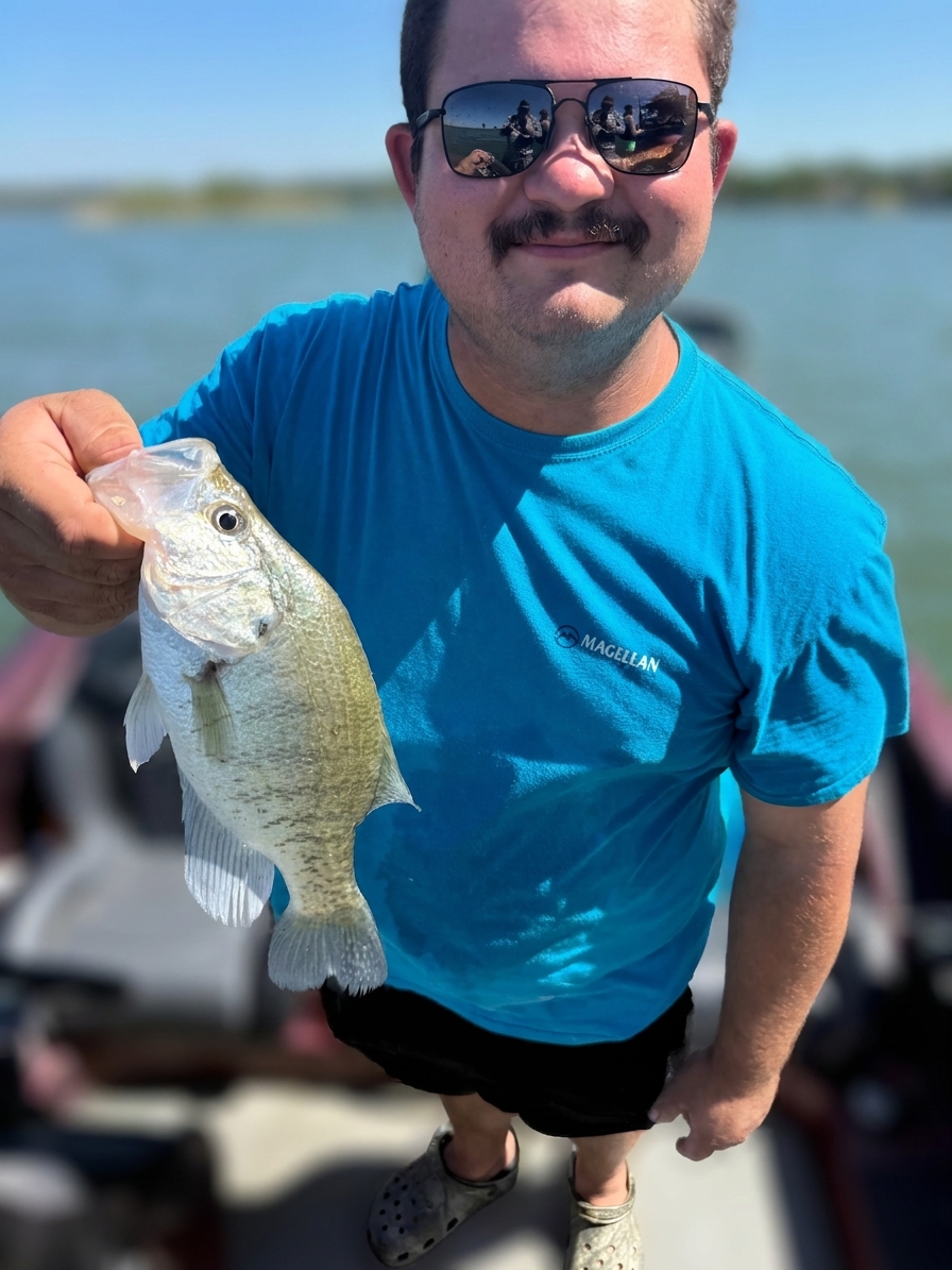 White crappie caught on Lake Bridgeport, Aug 14, 2026