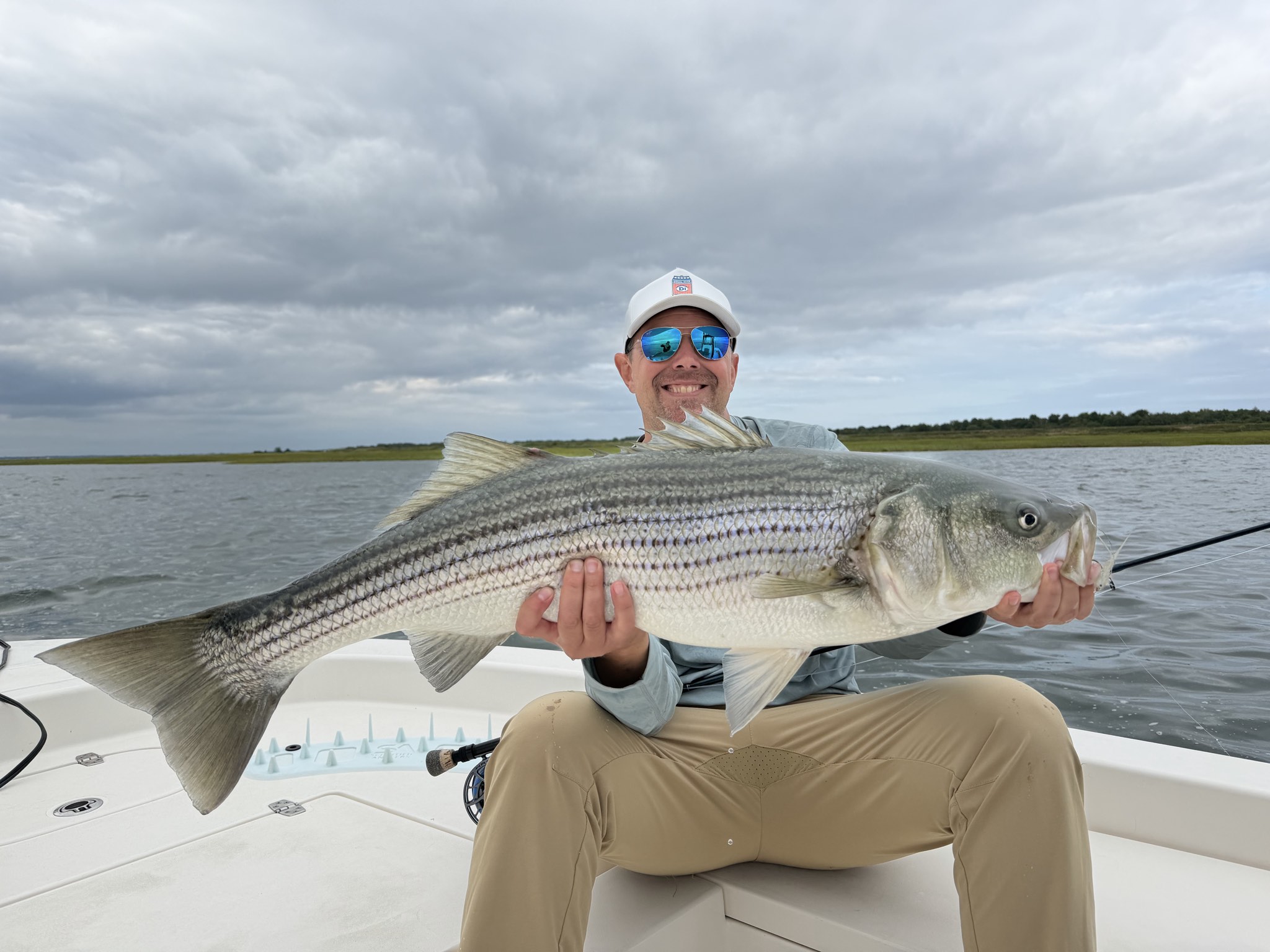 Striped Bass