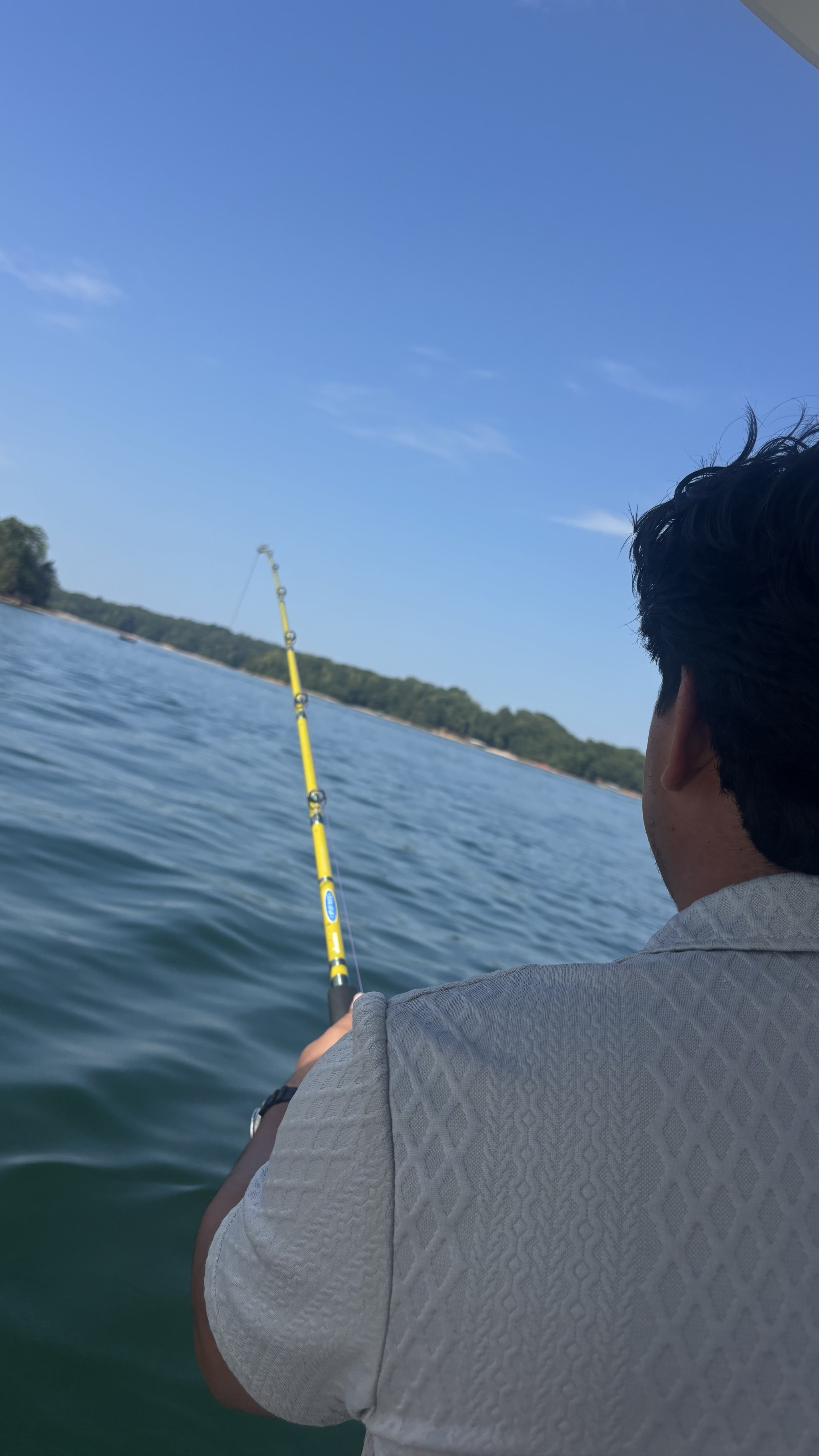 Striped Bass And Gar Action Lake Lanier
