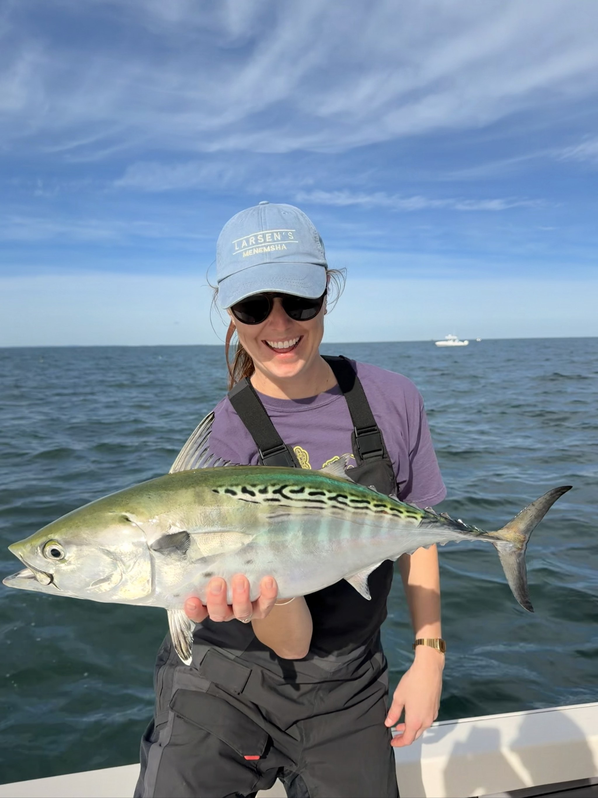 Atlantic bonito caught out of Boston, Oct 10, 2026