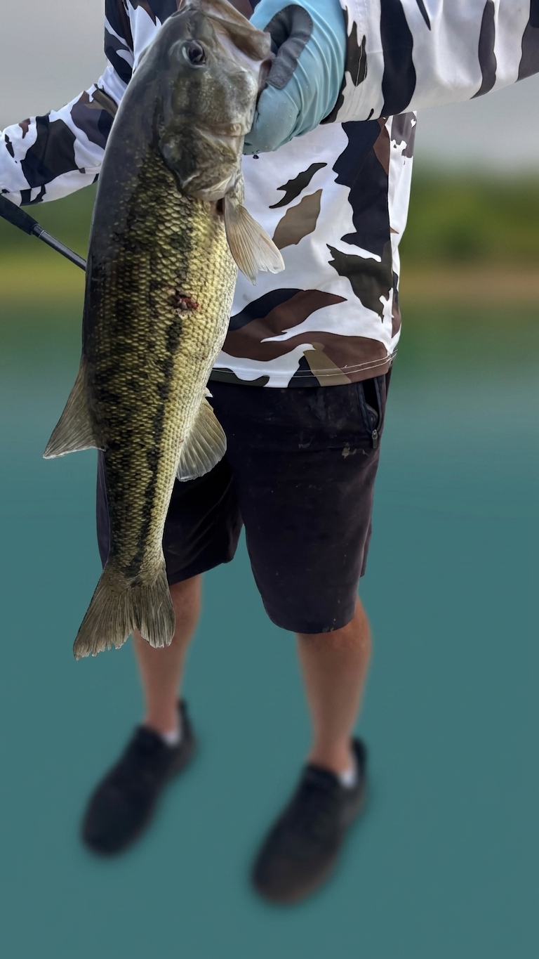 Striped And Spotted Bass On Lake Lanier