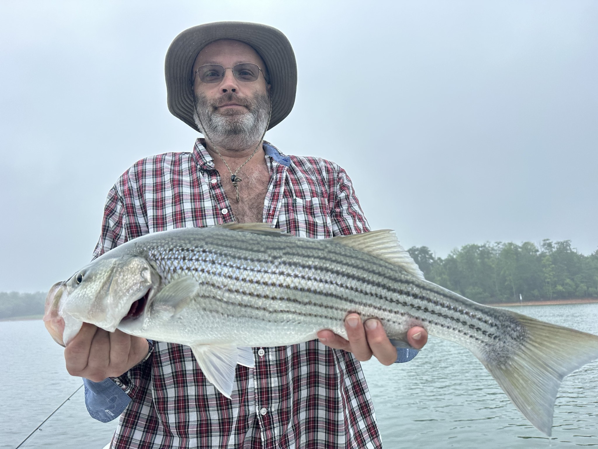 Striped Bass And Spotted Bass Action On Lake Lanier