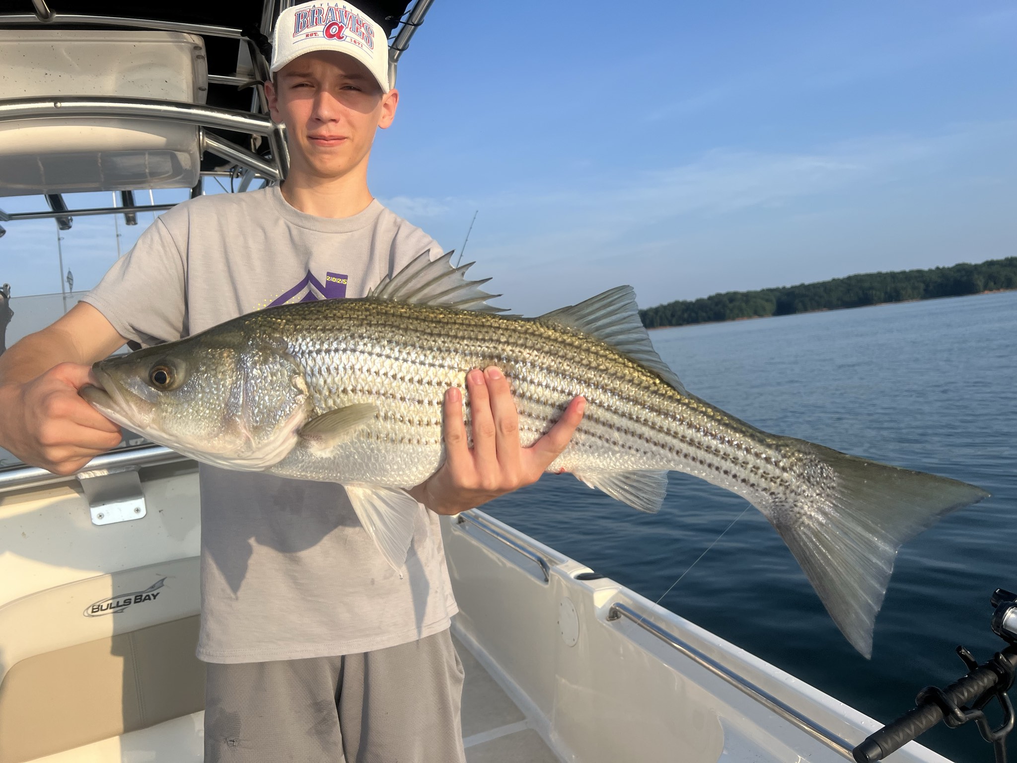 Trophy Striped Bass Lake Lanier Summer