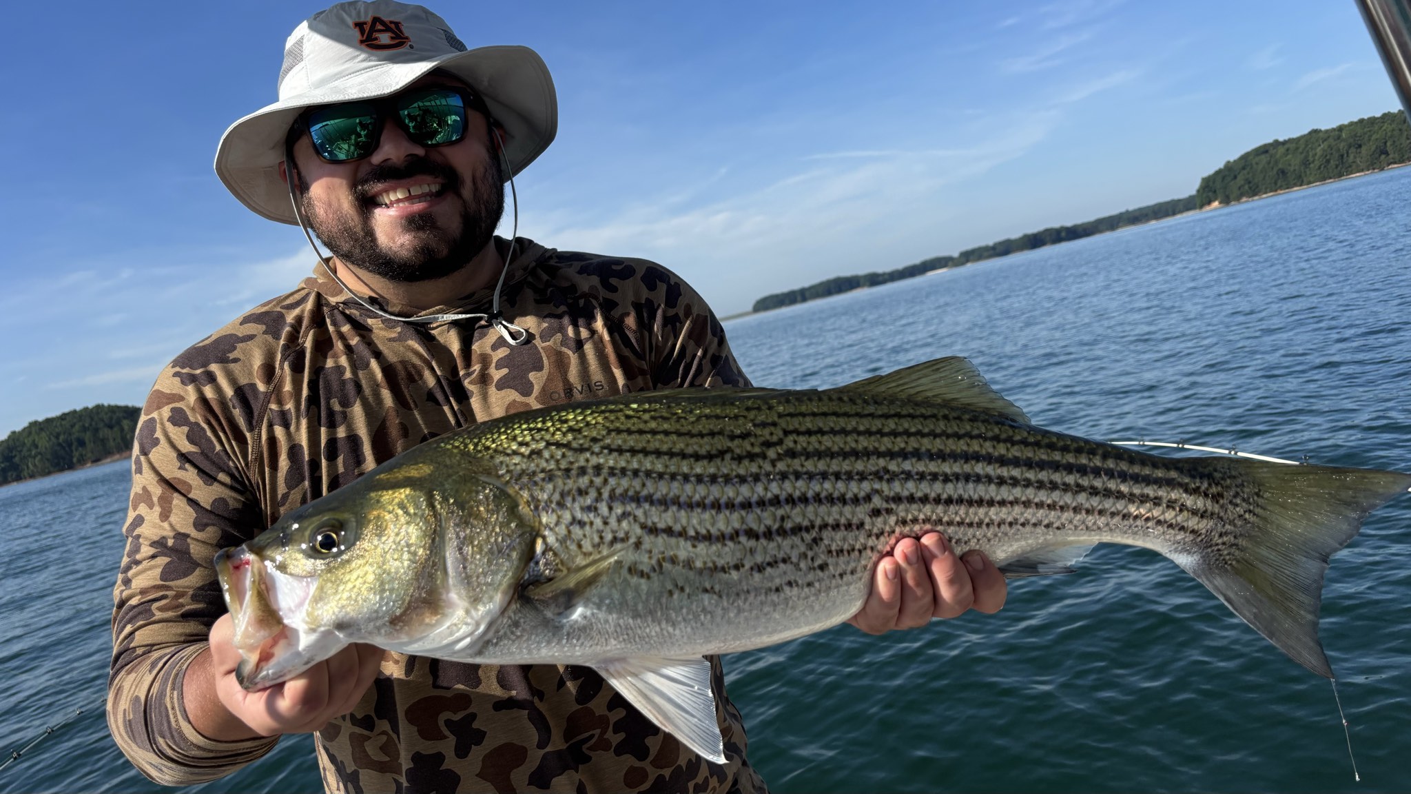 Golden Hour Bass Action on Lake Lanier