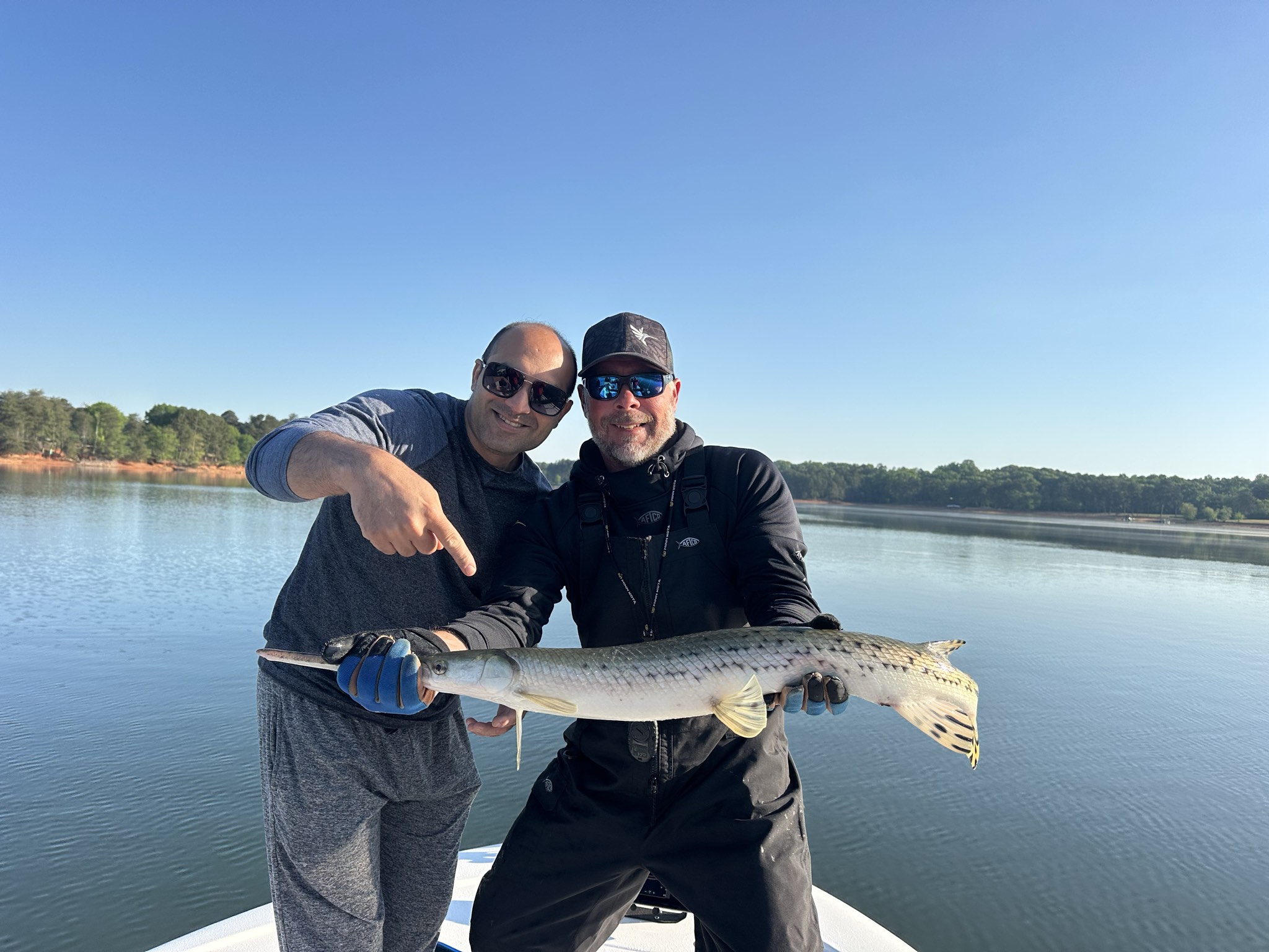 Striped Bass And Spotted Bass On Lake Lanier