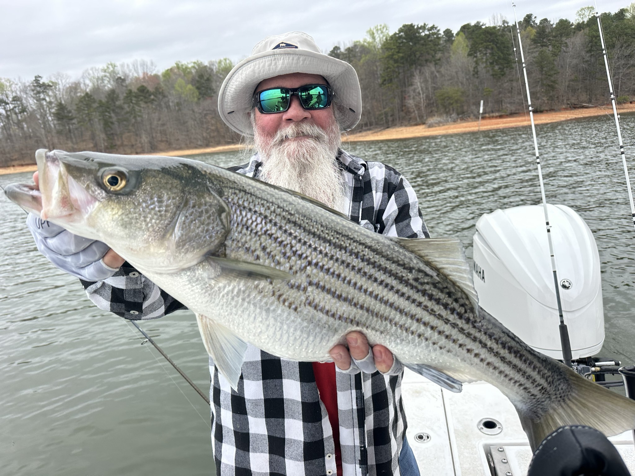 Striped Bass — March 2026