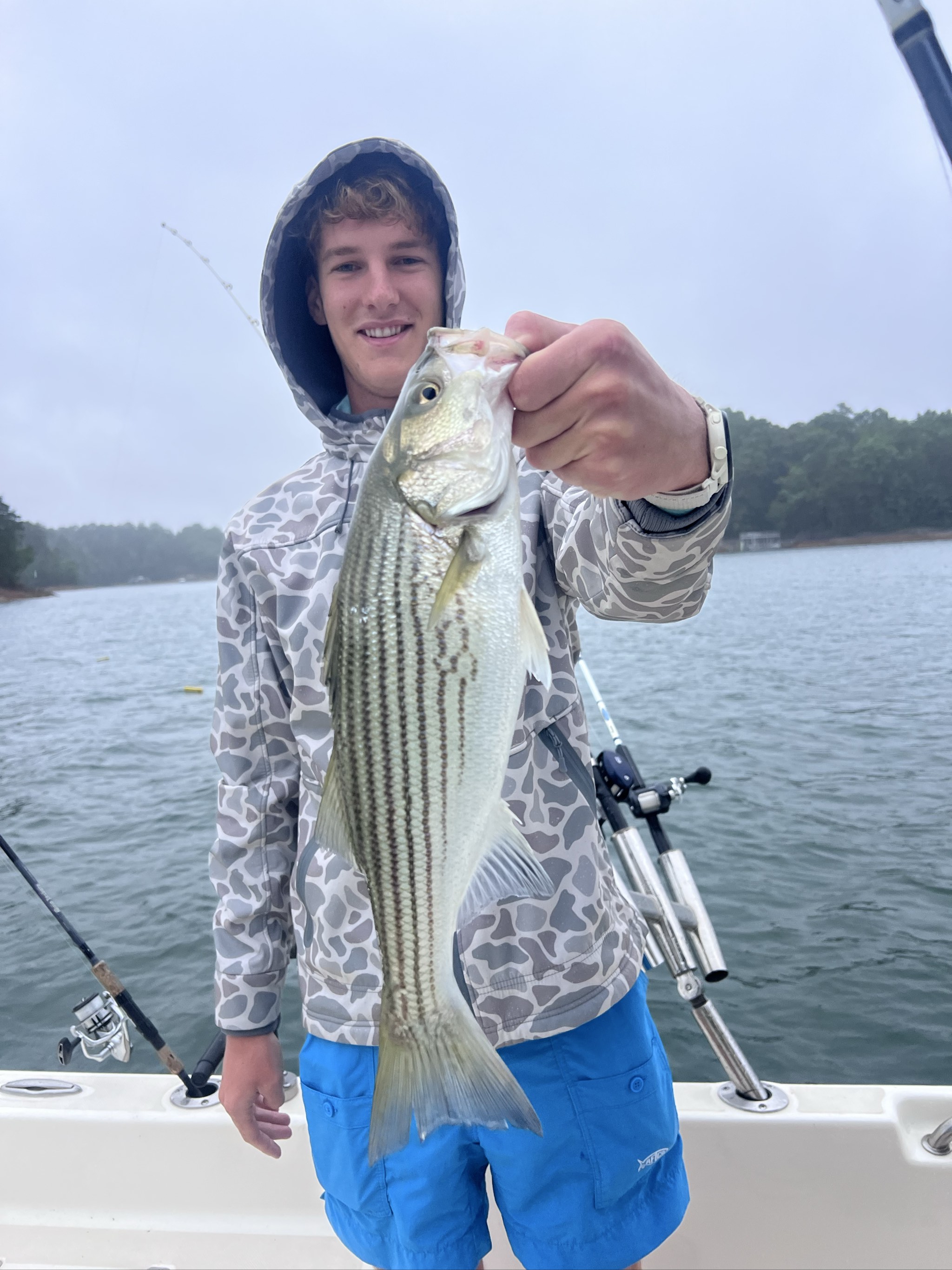 May Striped Bass And Spotted Bass Lake Lanier