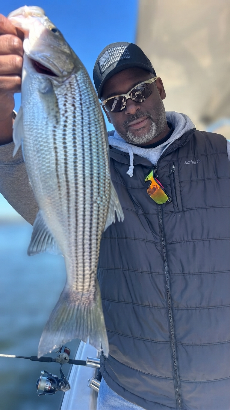 Striped bass caught on Lake Lanier, Oct 25, 2026
