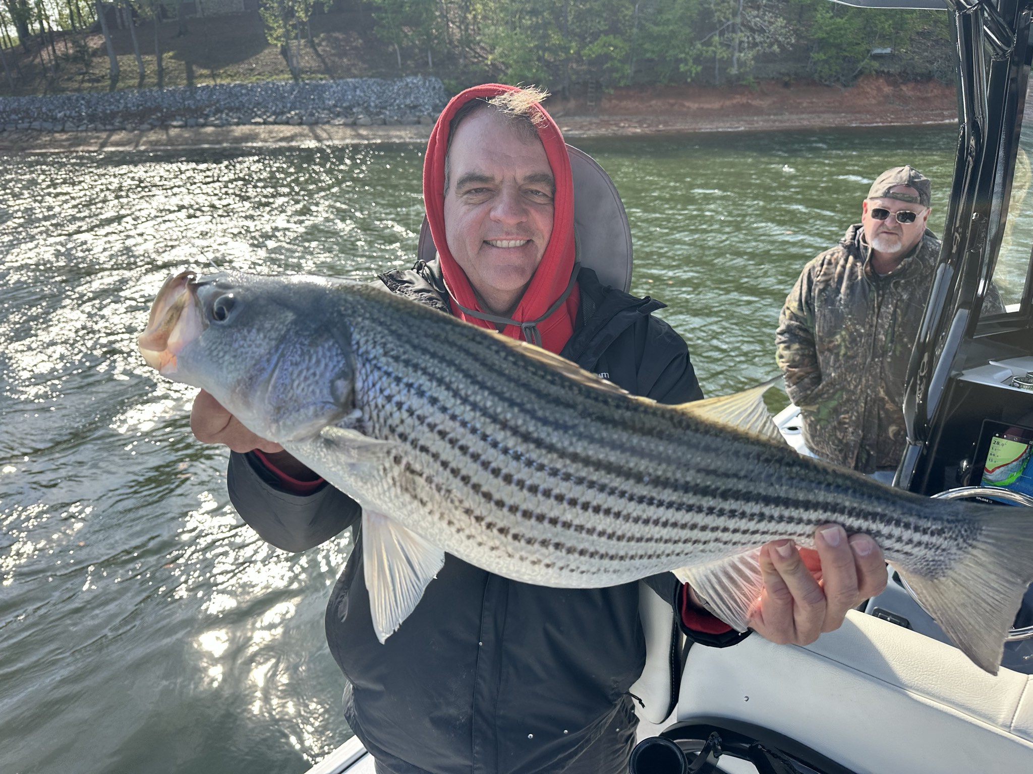 Striped Bass — April 2026