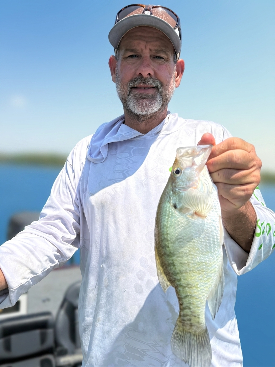 White crappie caught on Lake Bridgeport, Aug 6, 2026