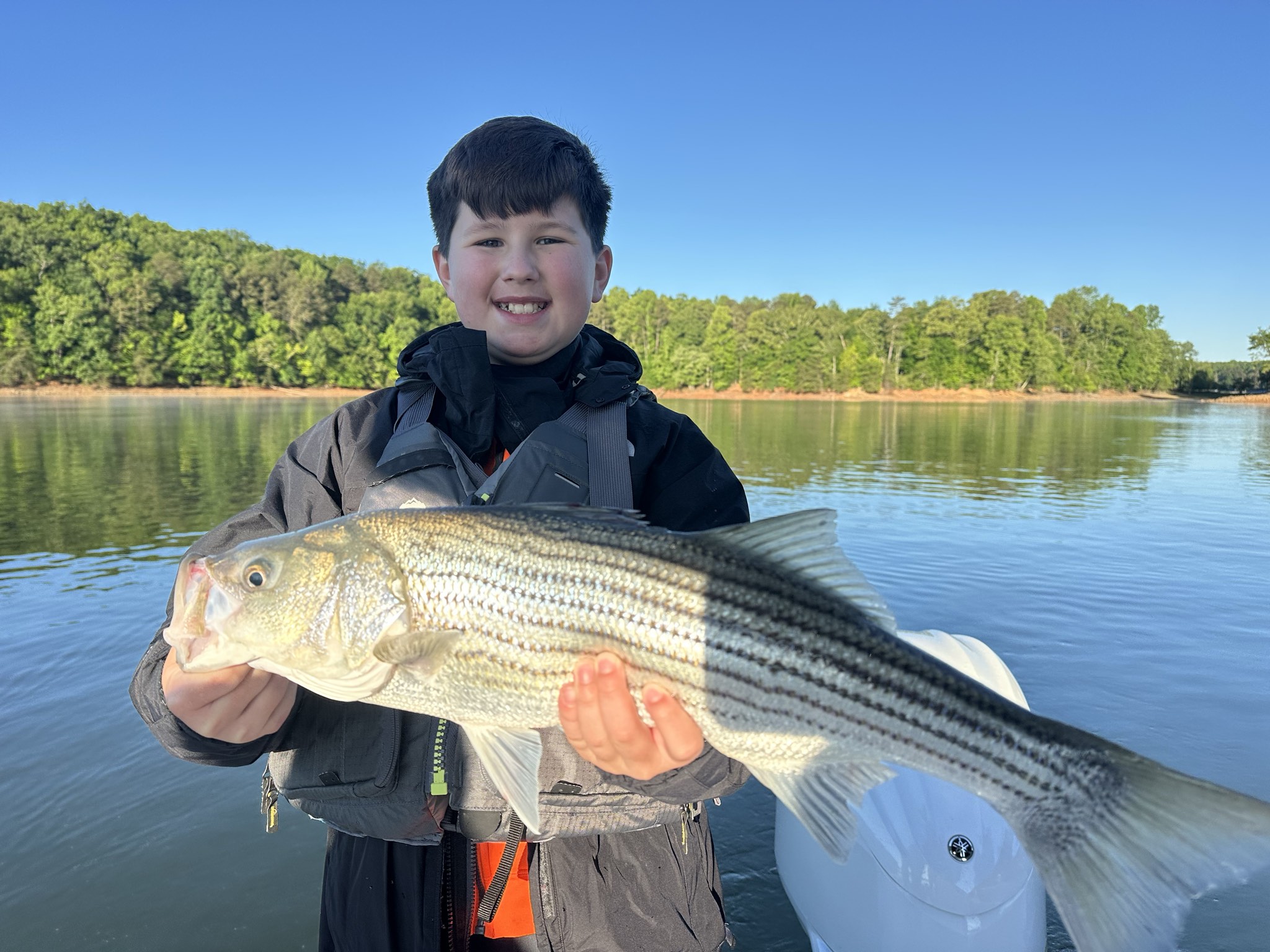 Striped Bass — May 2026