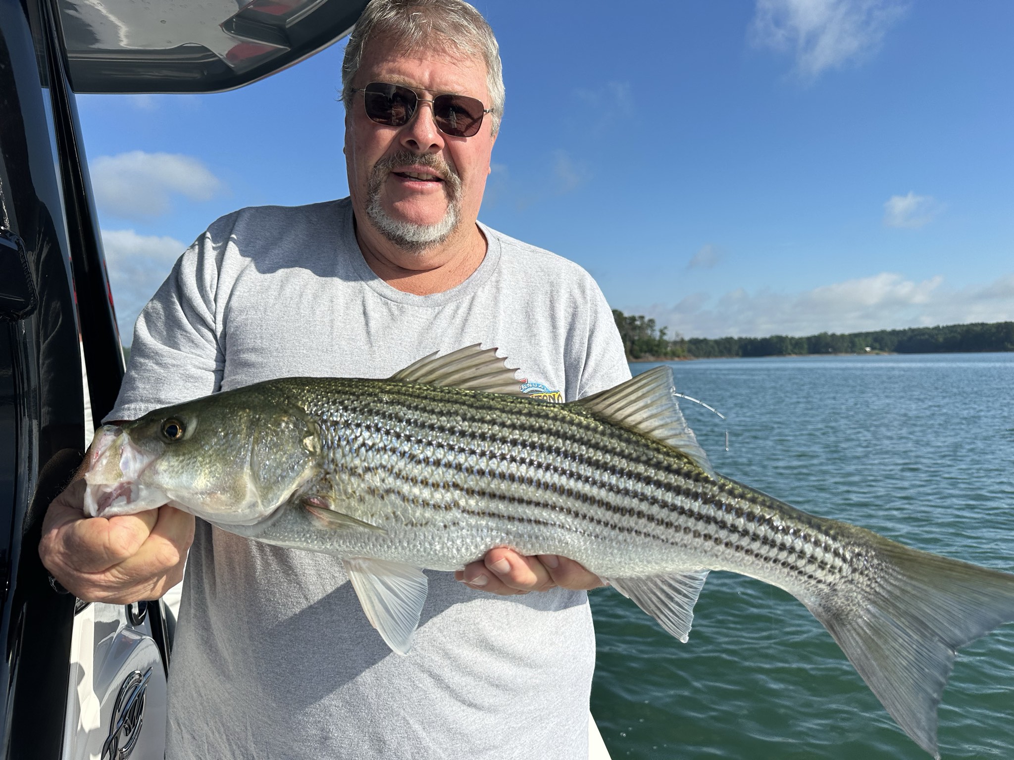 Striped Bass — June 2026
